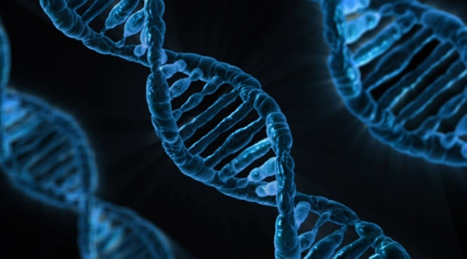 Japan: Rakuten invests $12.7m in Genesis Healthcare