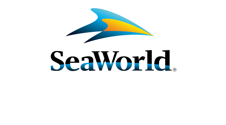 Image result for SeaWorld amusement stock Soars After astonishing Q2 income