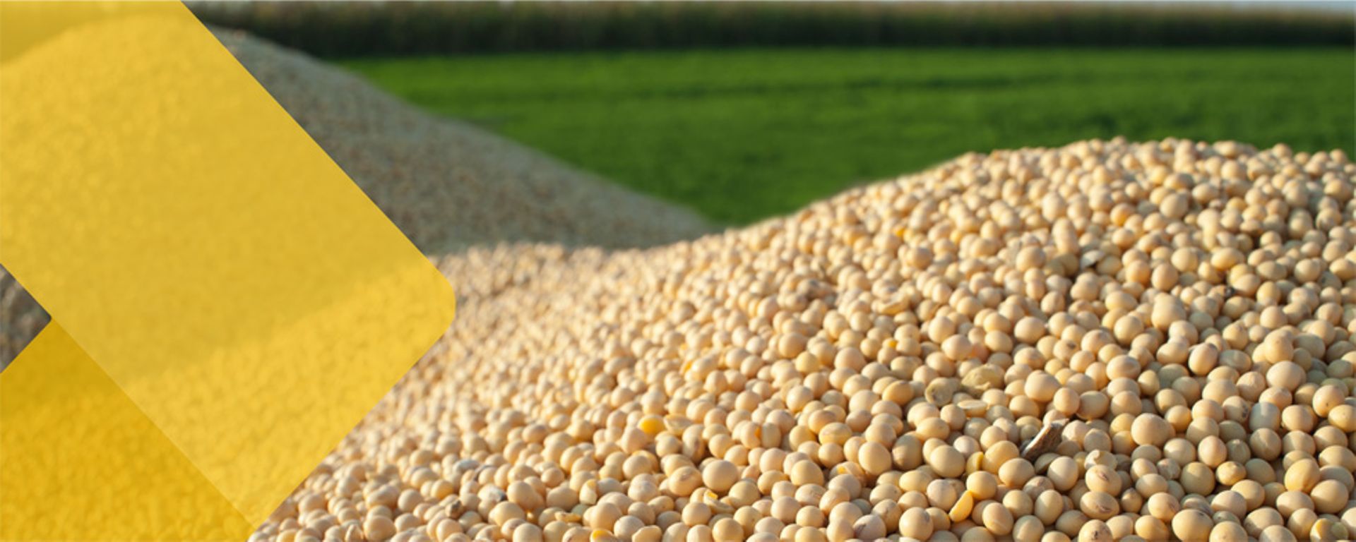 Indonesia: Proterra invests $100m in FKS Food & Agri