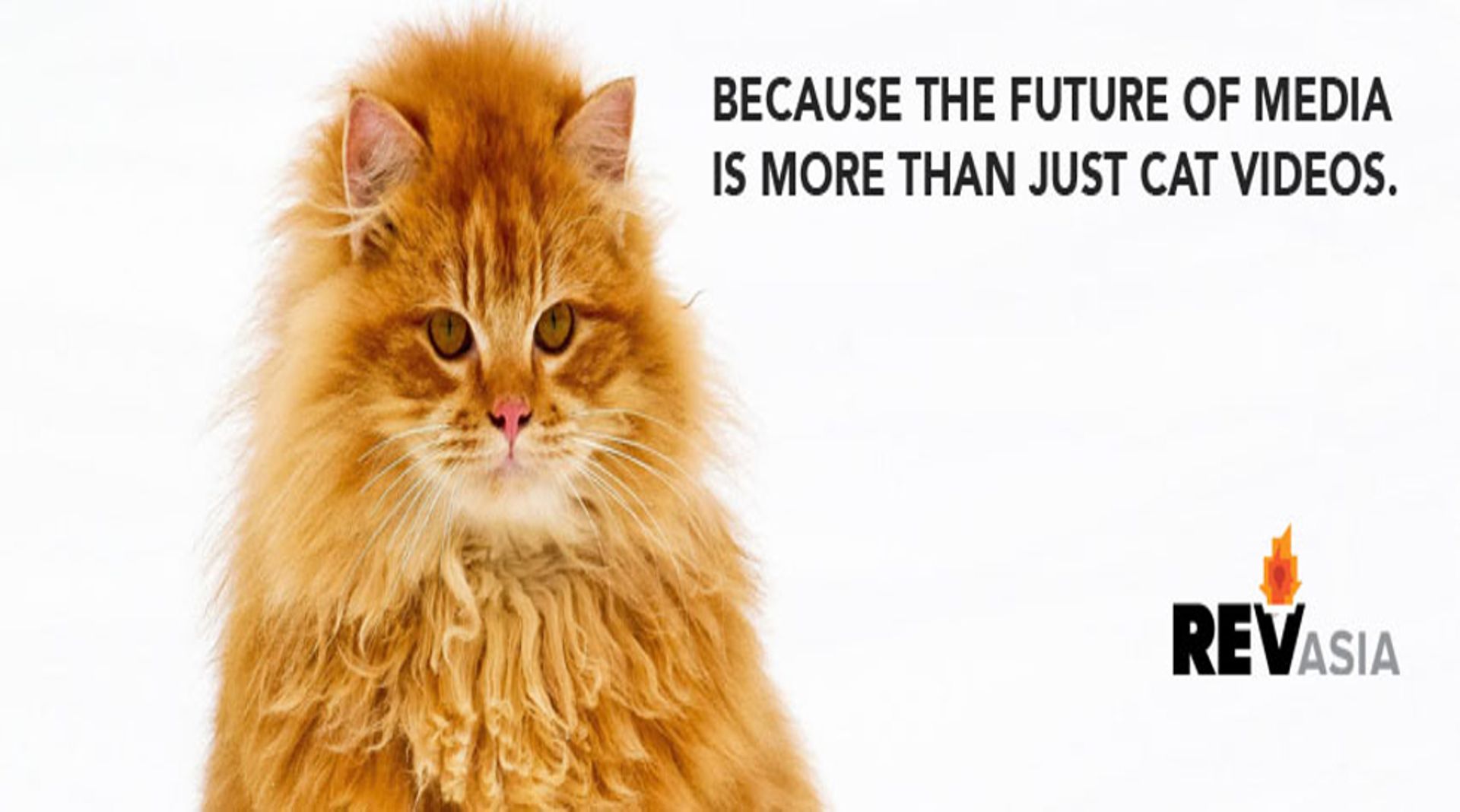 Media Prima Digital acquires REV Asia in $24.2m deal