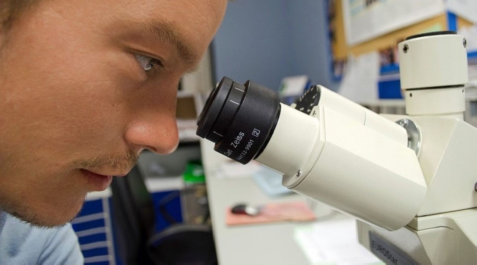 Japan's Olympus Corp. to sell microscope unit to Bain for $3.1b