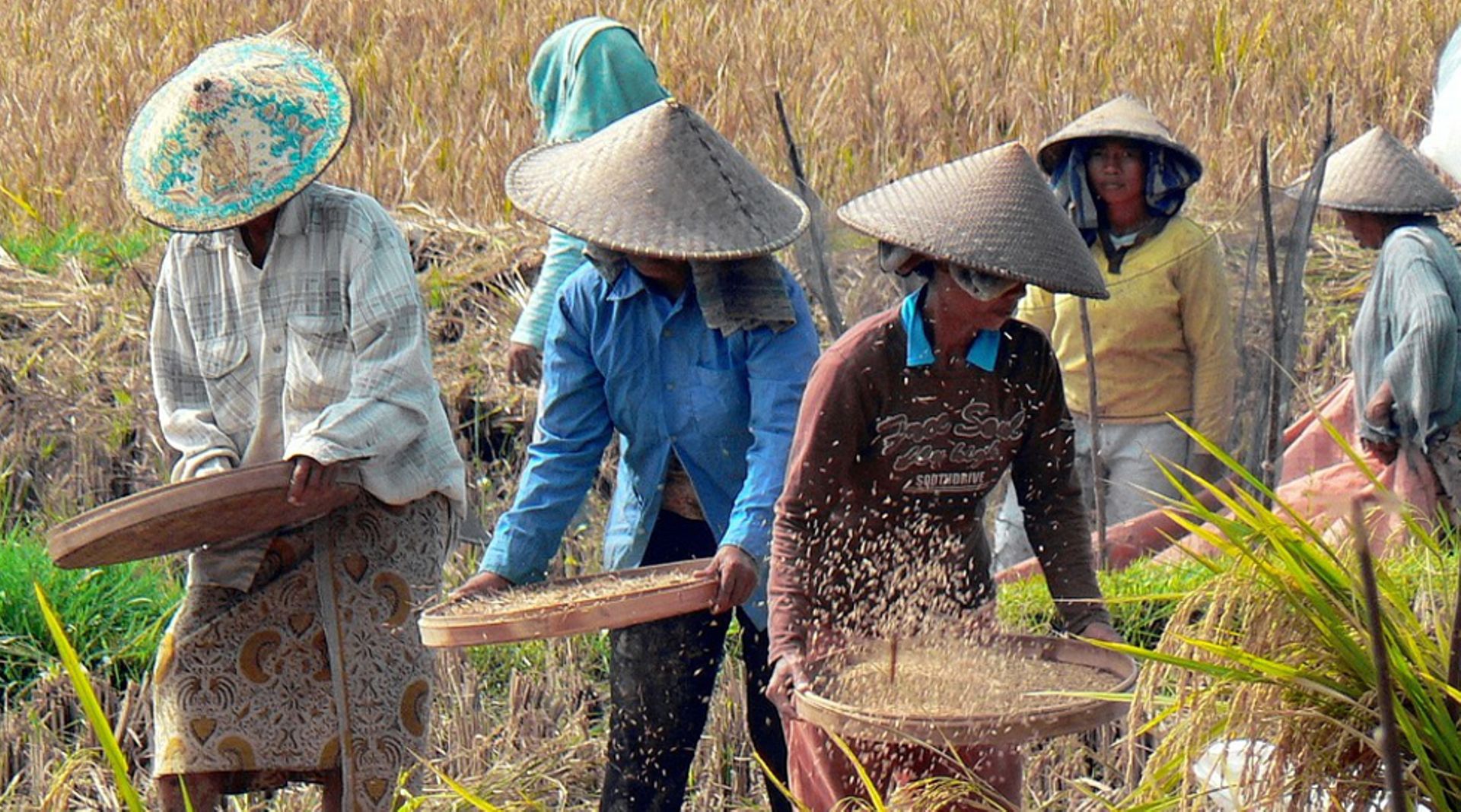 Proterra Investment Partners to double down on Indonesia's food sector