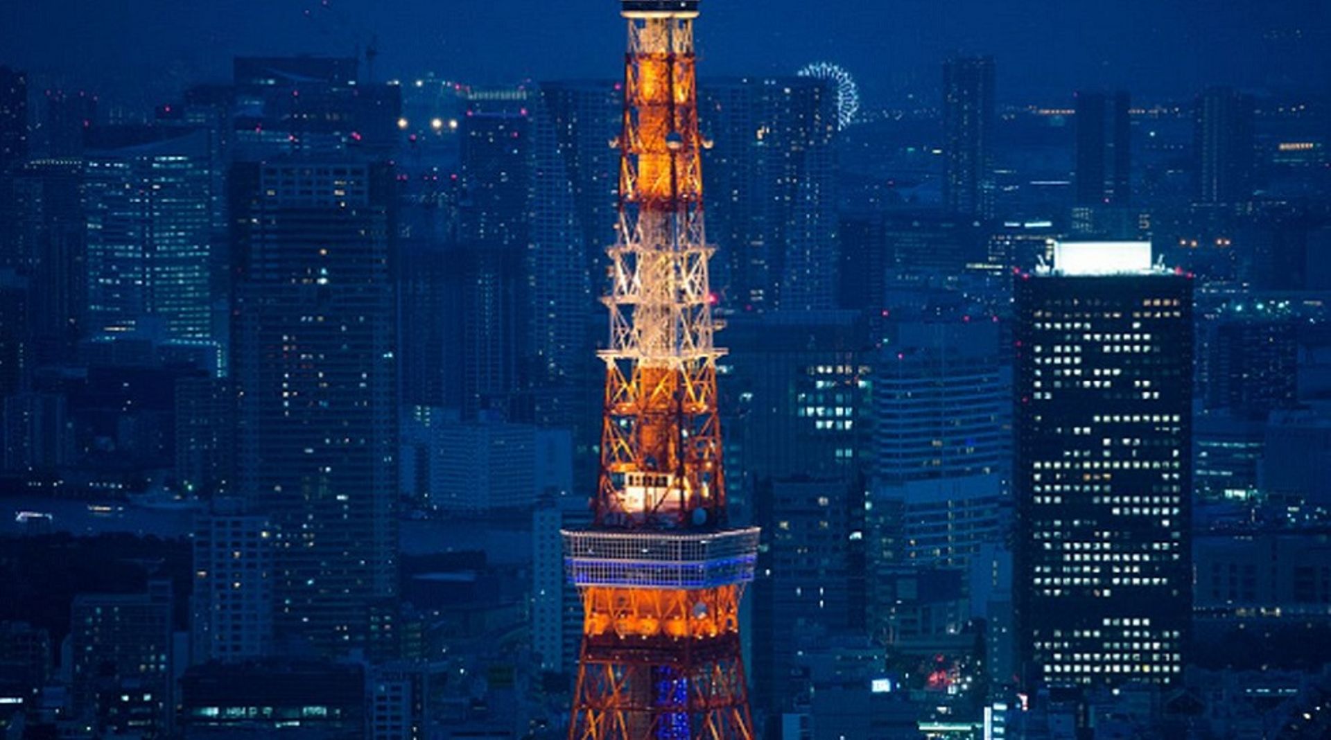 Japan: Tech startups Megakaryo, Every, Base & Cognitee raise funding