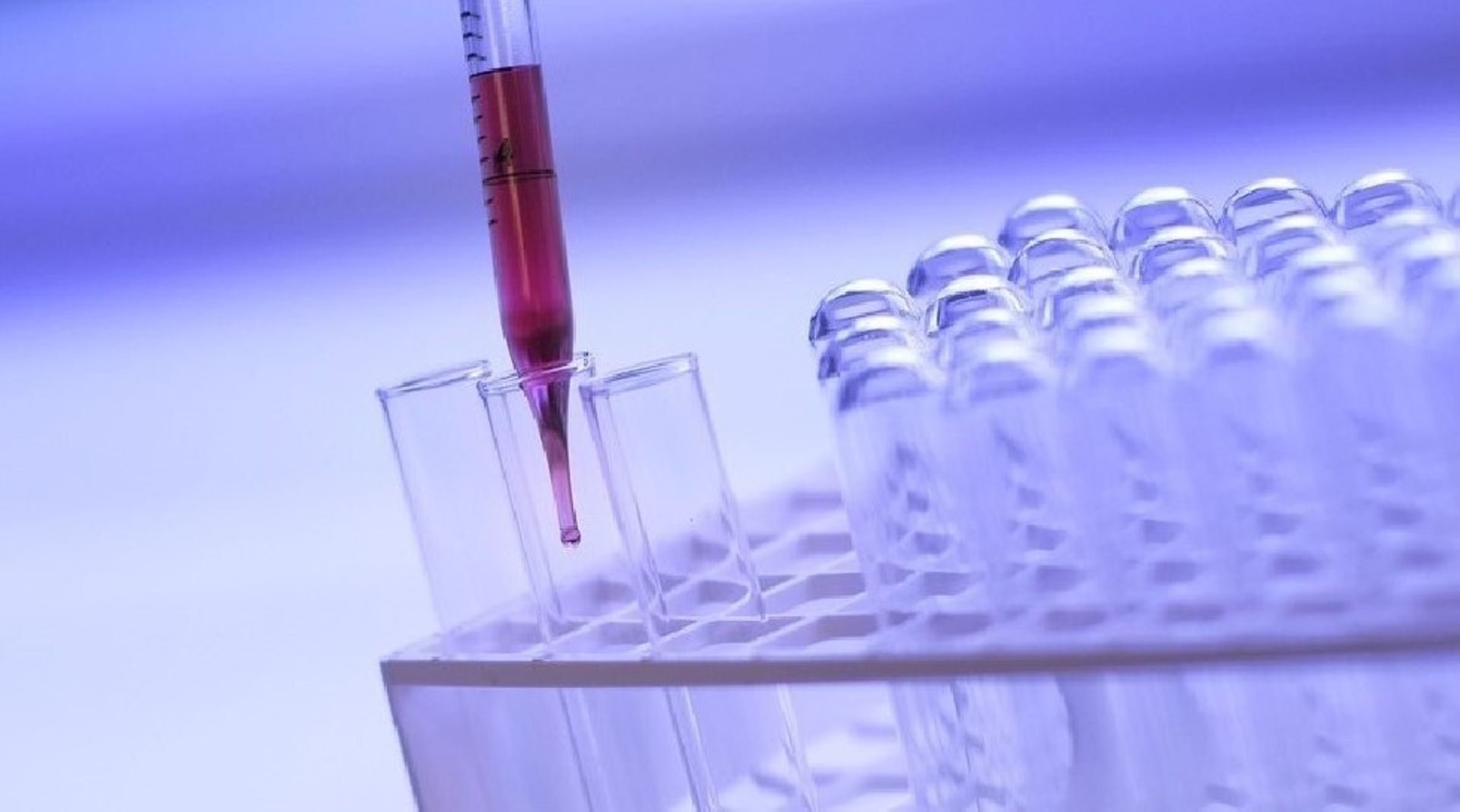 Singapore's EDBI, Pavilion Capital back $10m seed round in Engine Biosciences