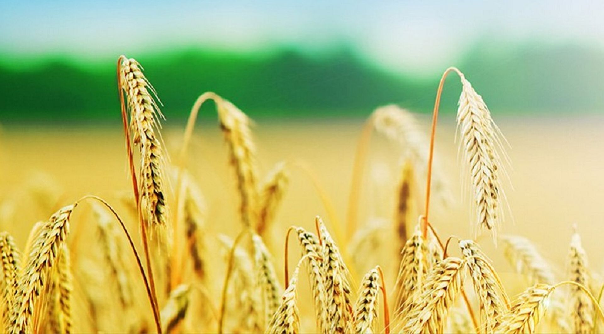 Temasek-backed Godrej Agrovet approves Astec LifeSciences merger