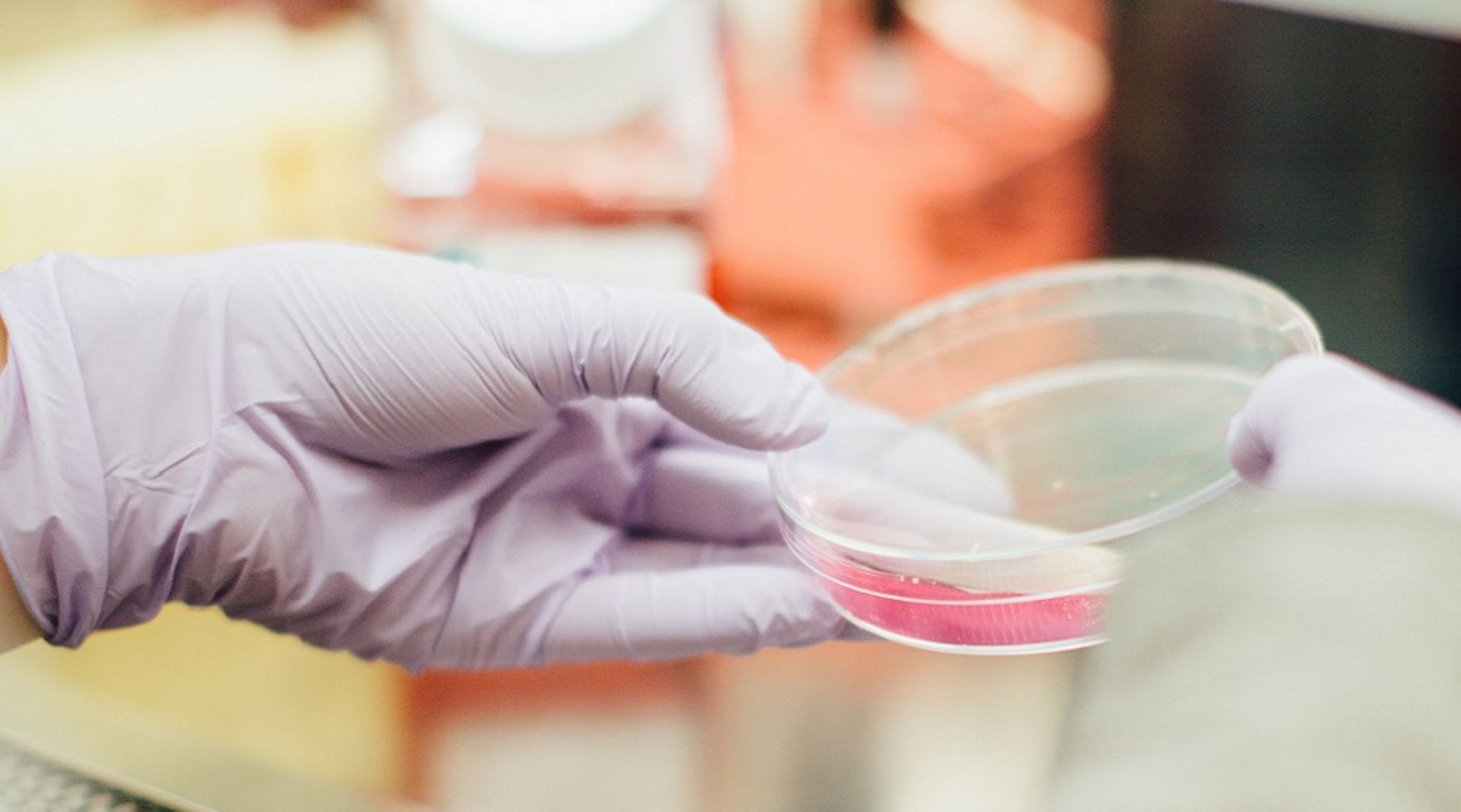 Sri Trang Gloves Thailand makes stellar debut, shares surge 75%