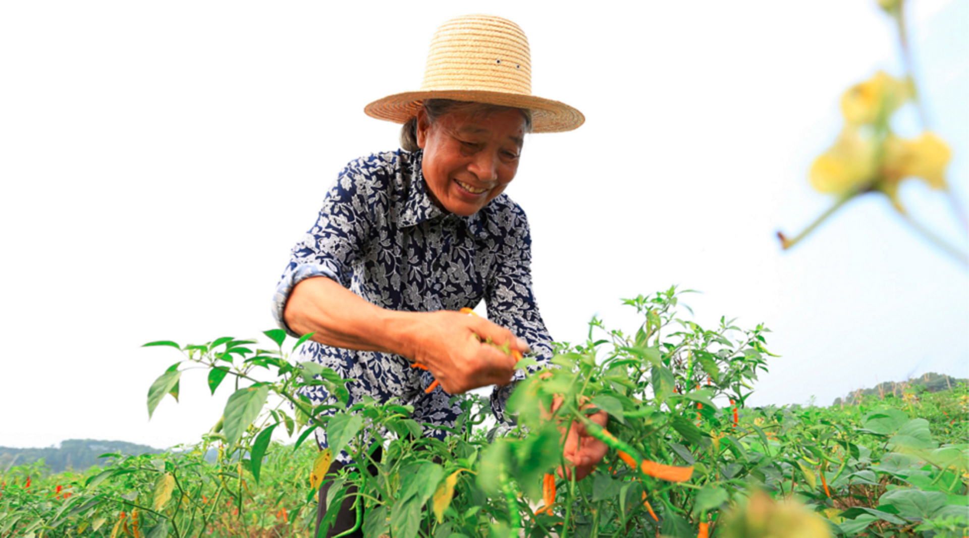 UBS raises $325m for Bono-backed impact fund fuelled by strong Asia interest