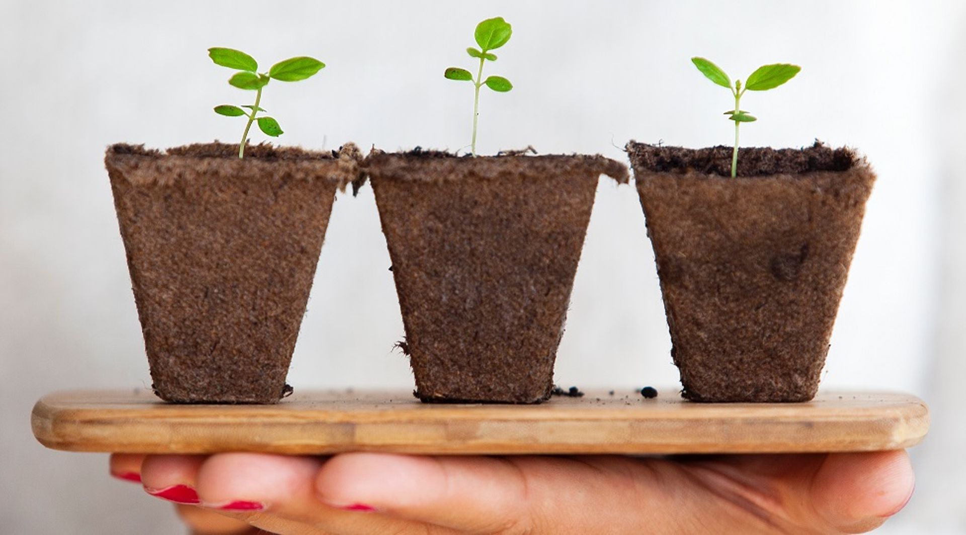 Exclusive: Indian micro-VC Quarizon closes second fund, looks to back 8 companies