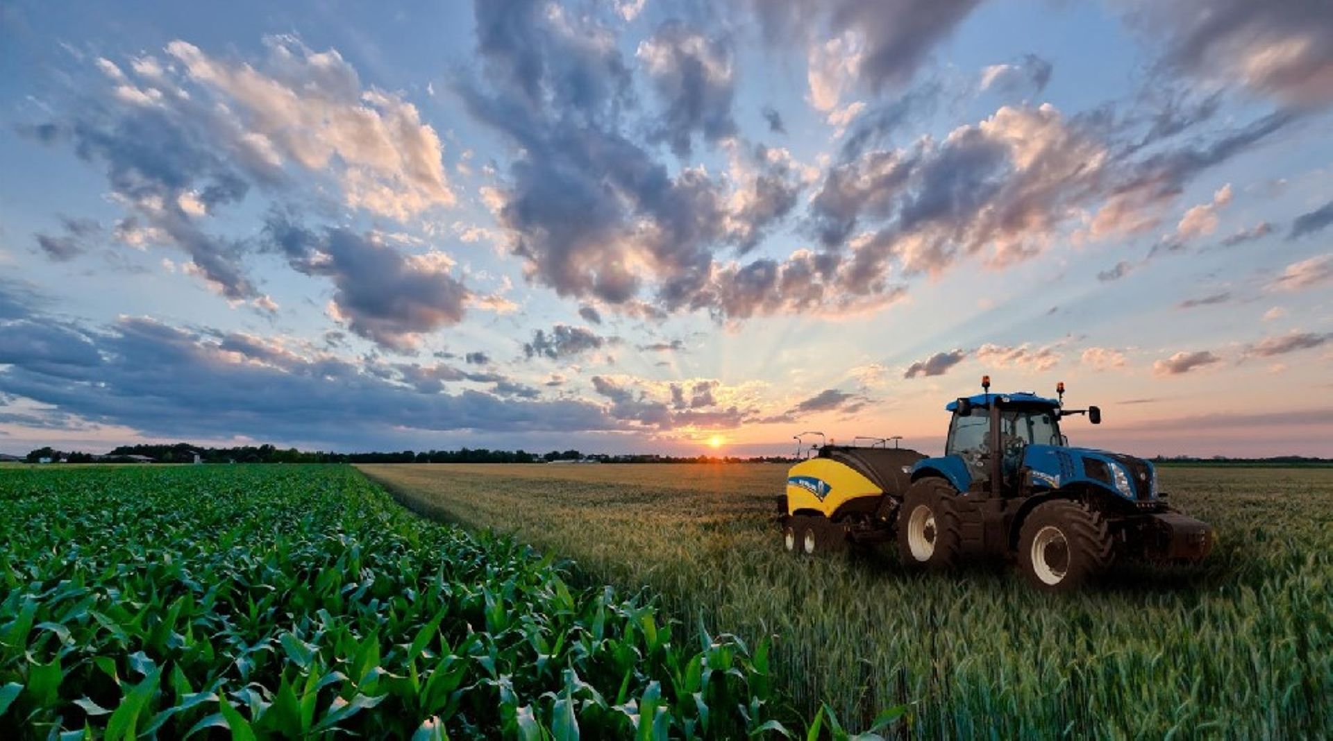 Philippines: MGHI to take over agribusiness conglomerate Calata
