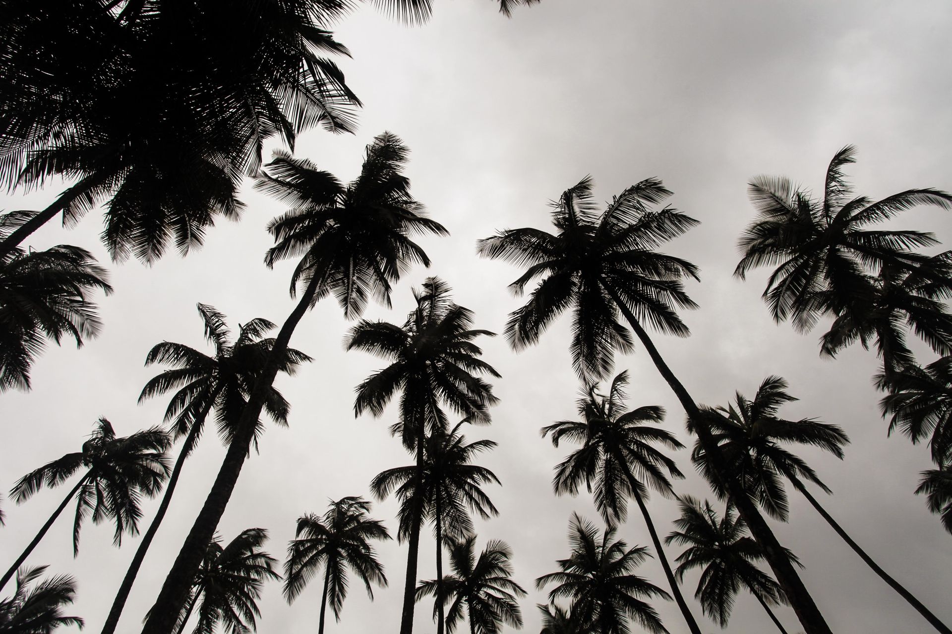 Malaysia: Sime Darby says on track to list plantation, property businesses by year-end