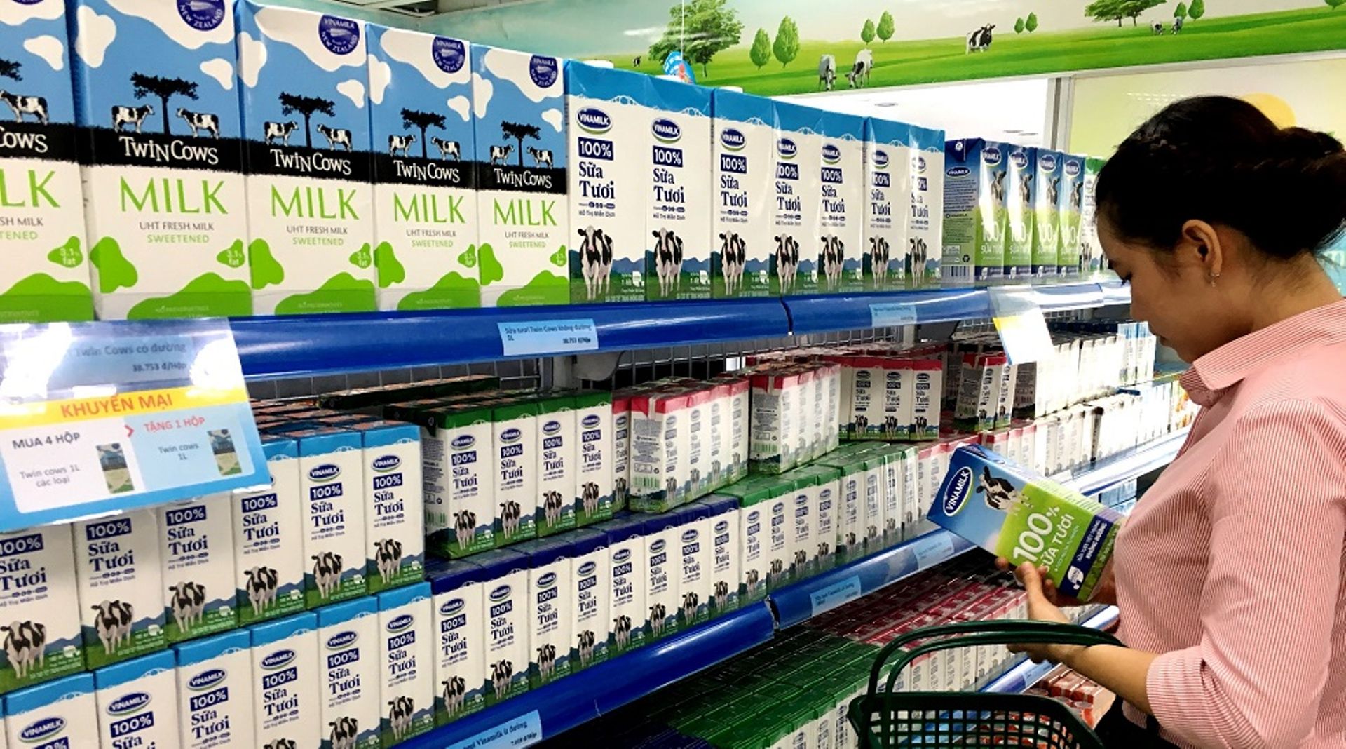 Vietnam 2017: Jardine-Vinamilk, Thaibev-Sabeco among blockbuster M&A deals