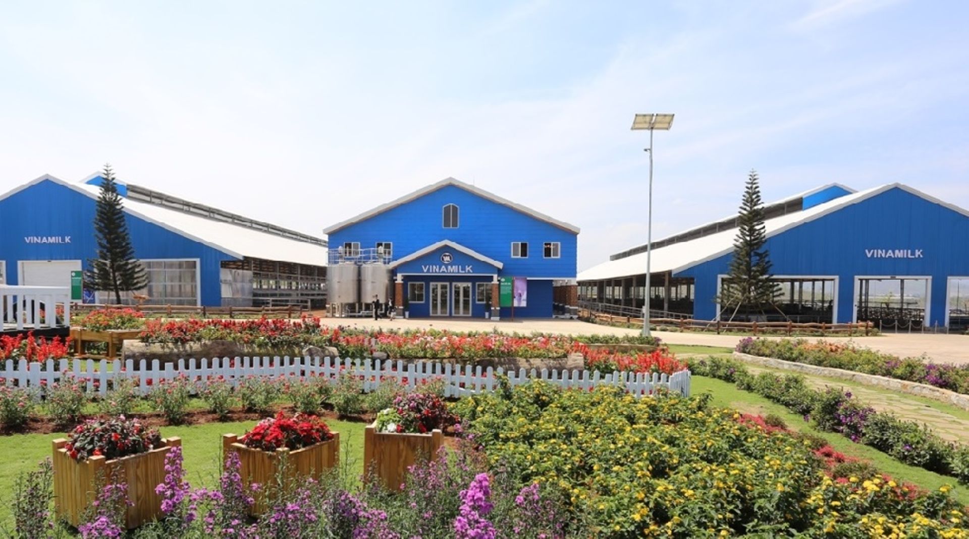 Vietnam's Vinamilk to sell 3.3% stake on Nov 10, launches offshore roadshows