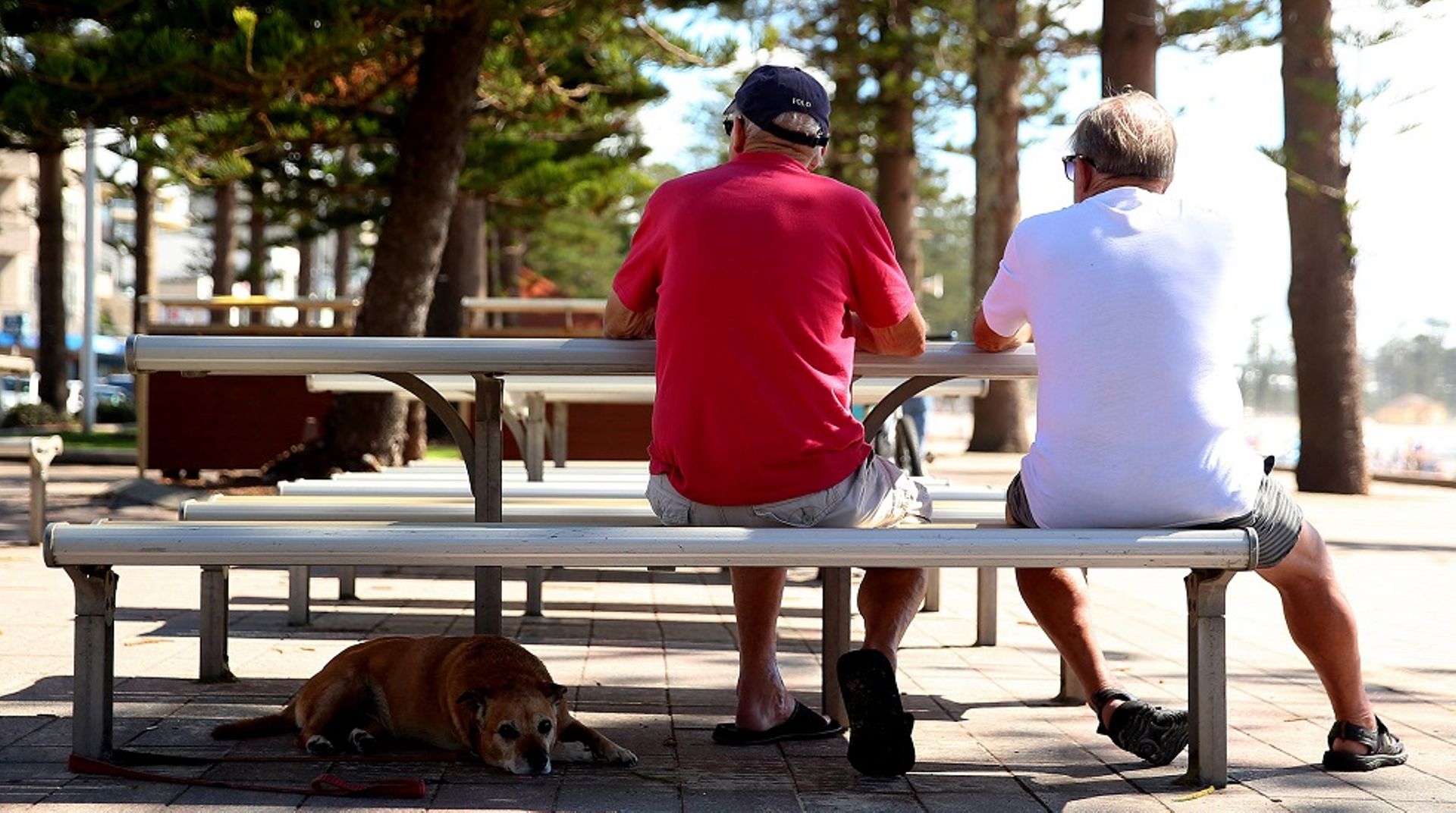 NZ Super tweaks investment strategy after volatile year and big market swings