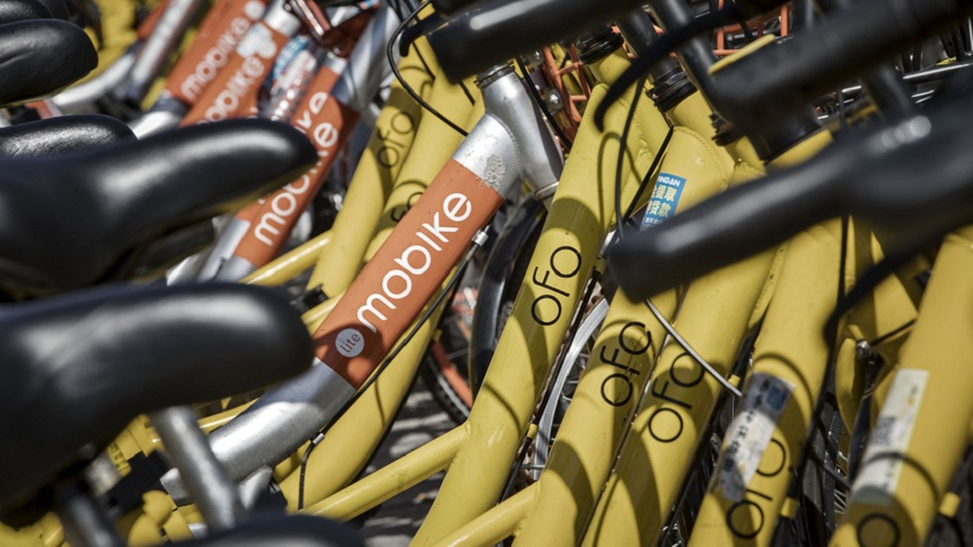 China's Didi Chuxing to take over struggling bike-sharing startup Ofo: Report