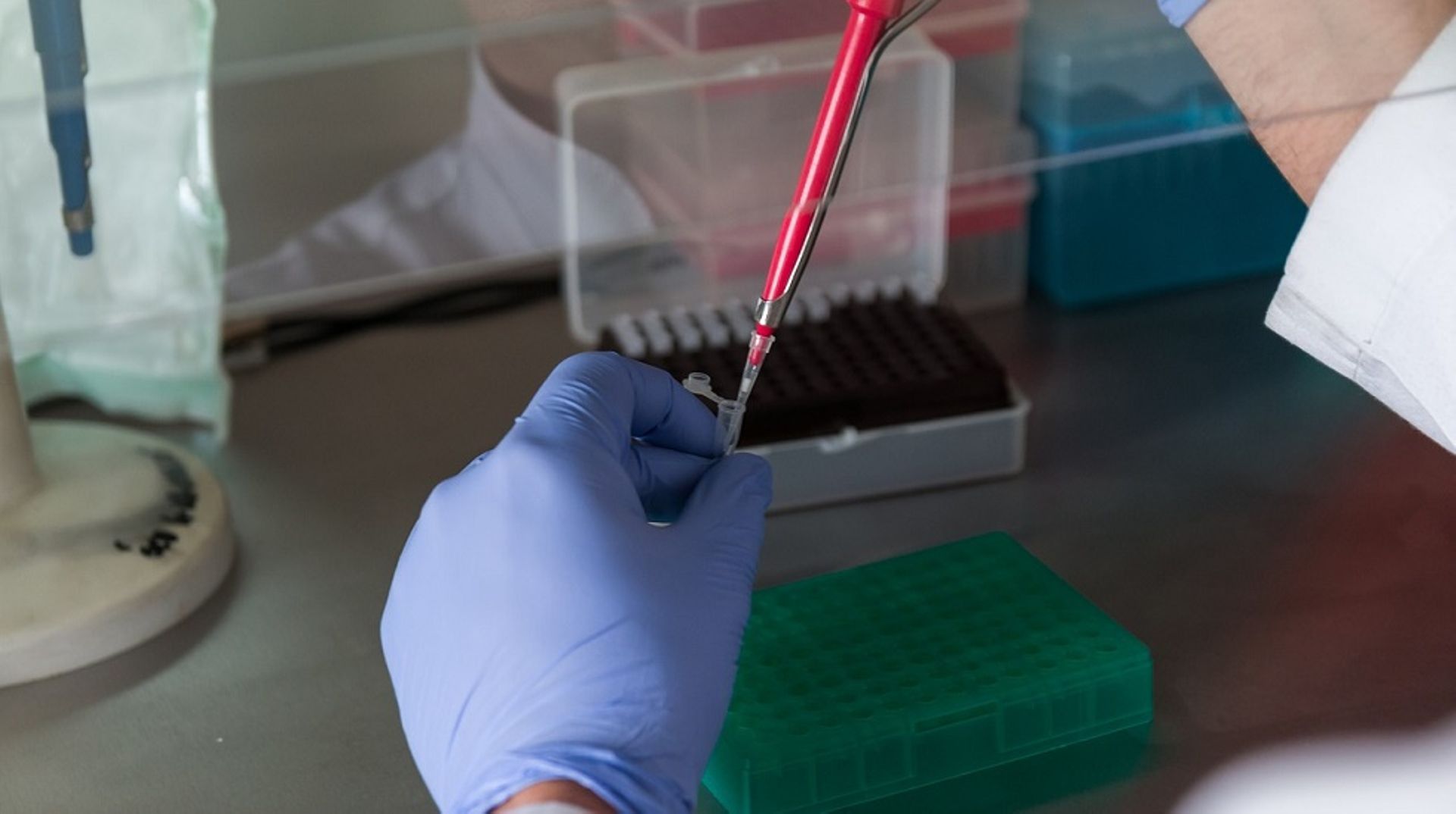 Temasek leads $72m round in Chinese haematology specialist Lu Daopei Medical