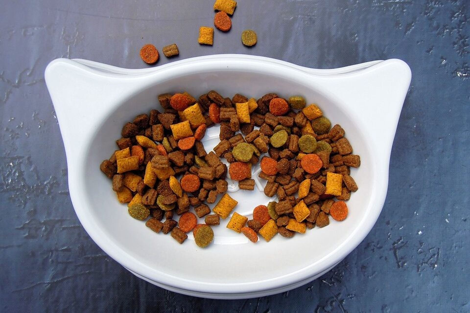 Australia's The Real Pet Food Company raises $161.2m from Temasek, others: report