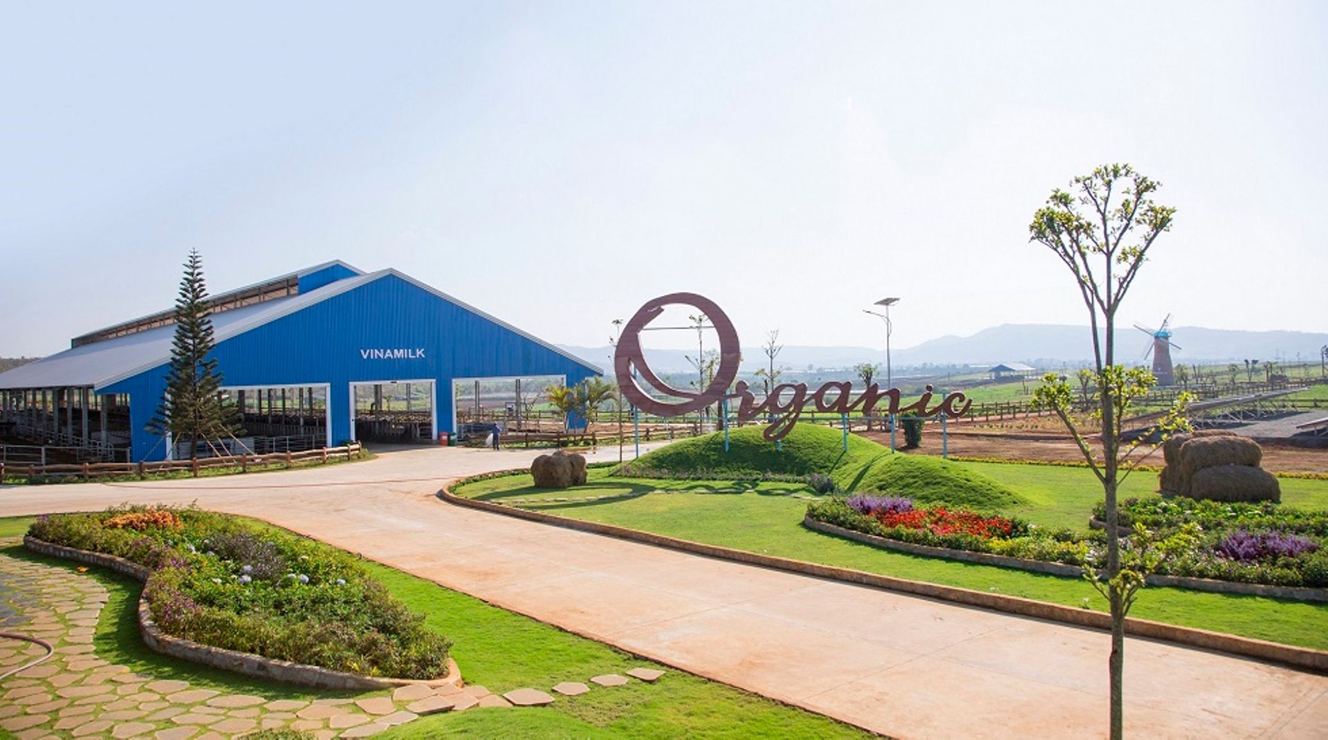 Asian investors compete to build up stakes in Vinamilk