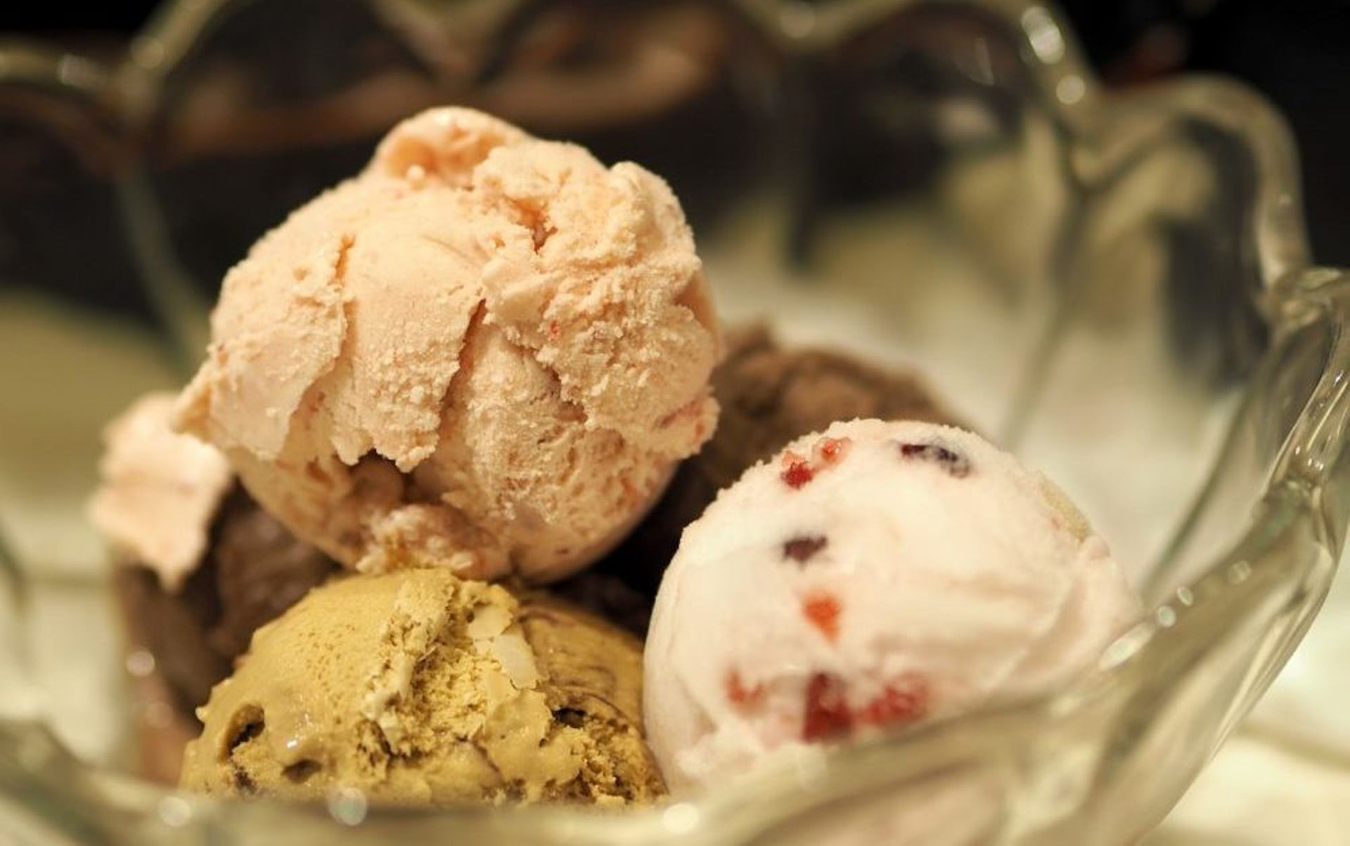 India Digest: Hocco,1-India Family Mart, MedVital in funding news