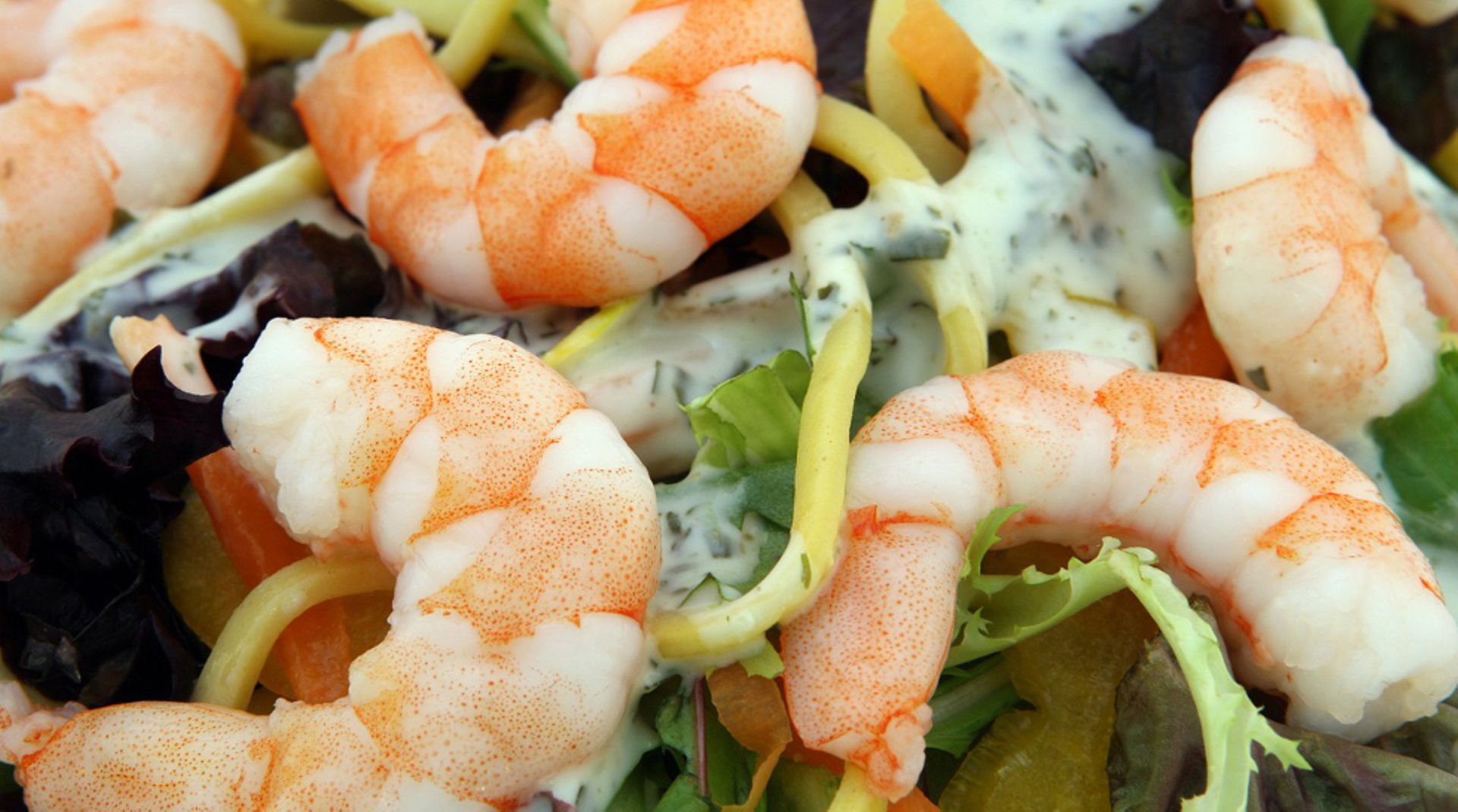 Singapore: No Signboard debuts on SGX Catalist 10.7% above IPO issue price