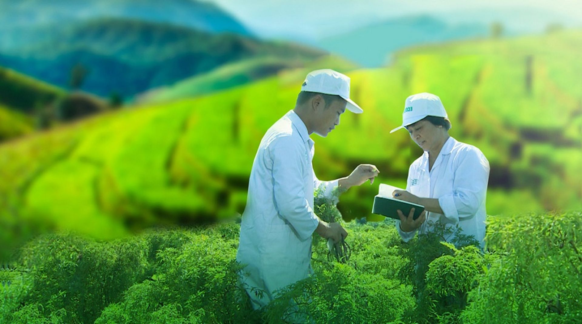 Mekong Capital's Vietnam Azalea Fund exits last portfolio company for $64.5m