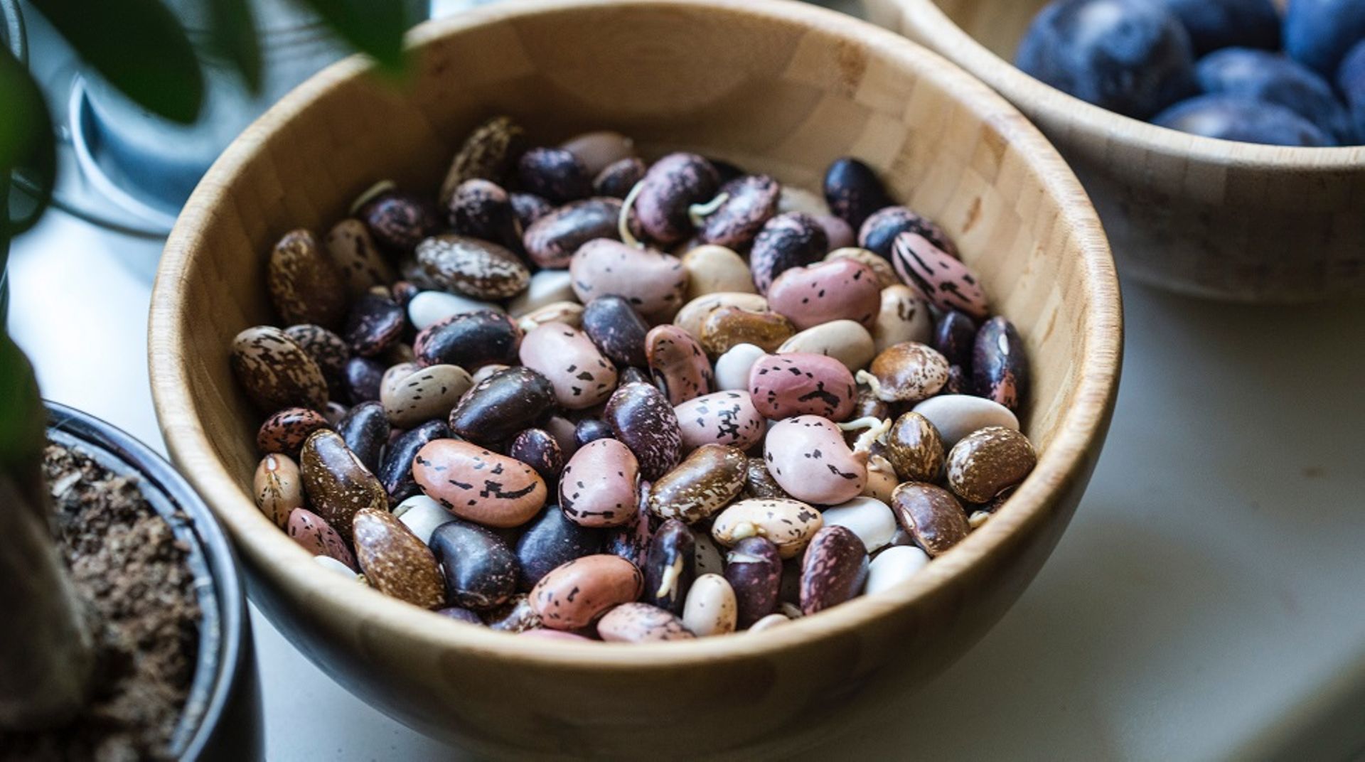 Standard Chartered backs Phoenix Group's $204m borrowing facility