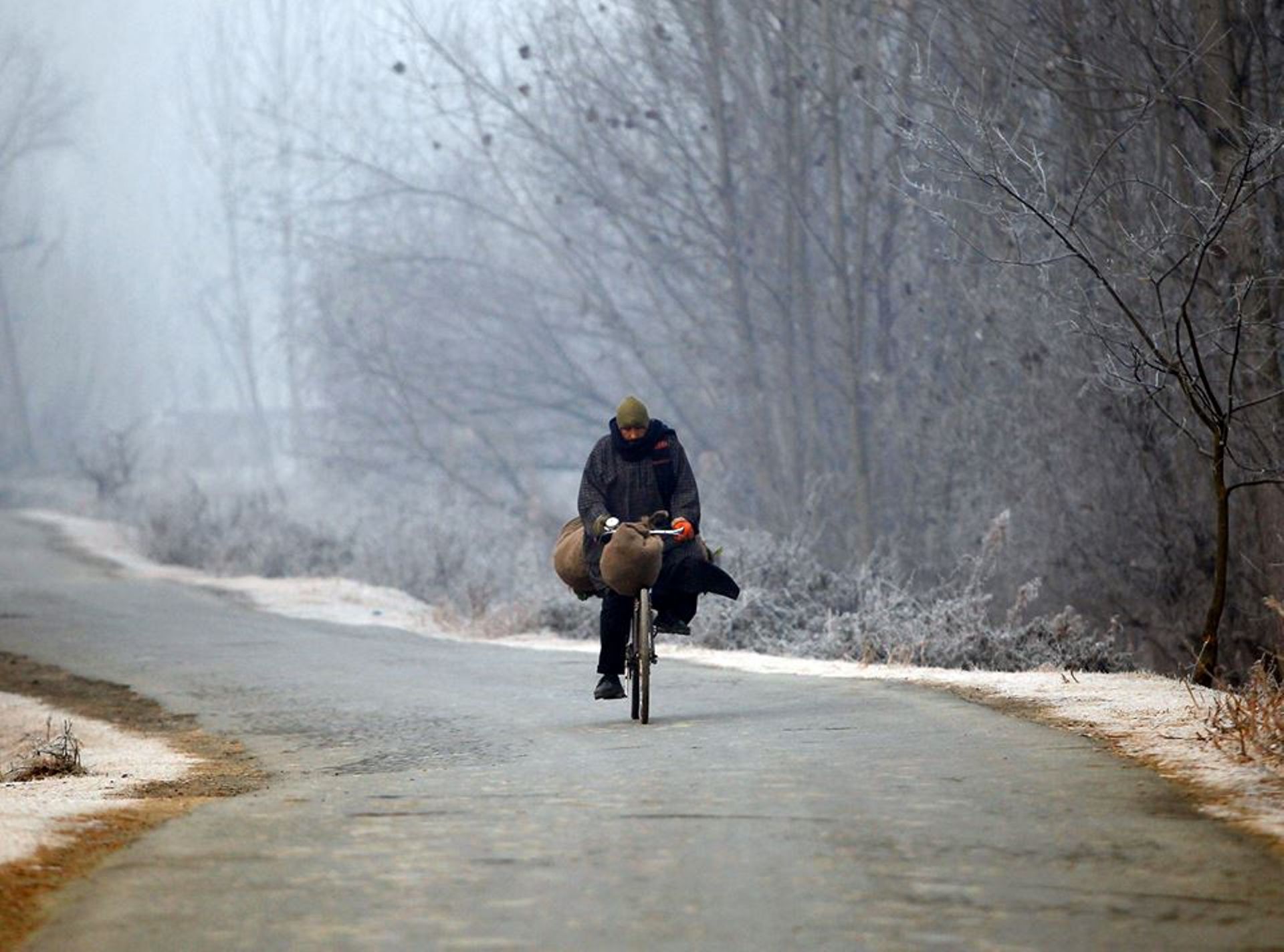 Investors' favourite bike-sharing sees some early action in India