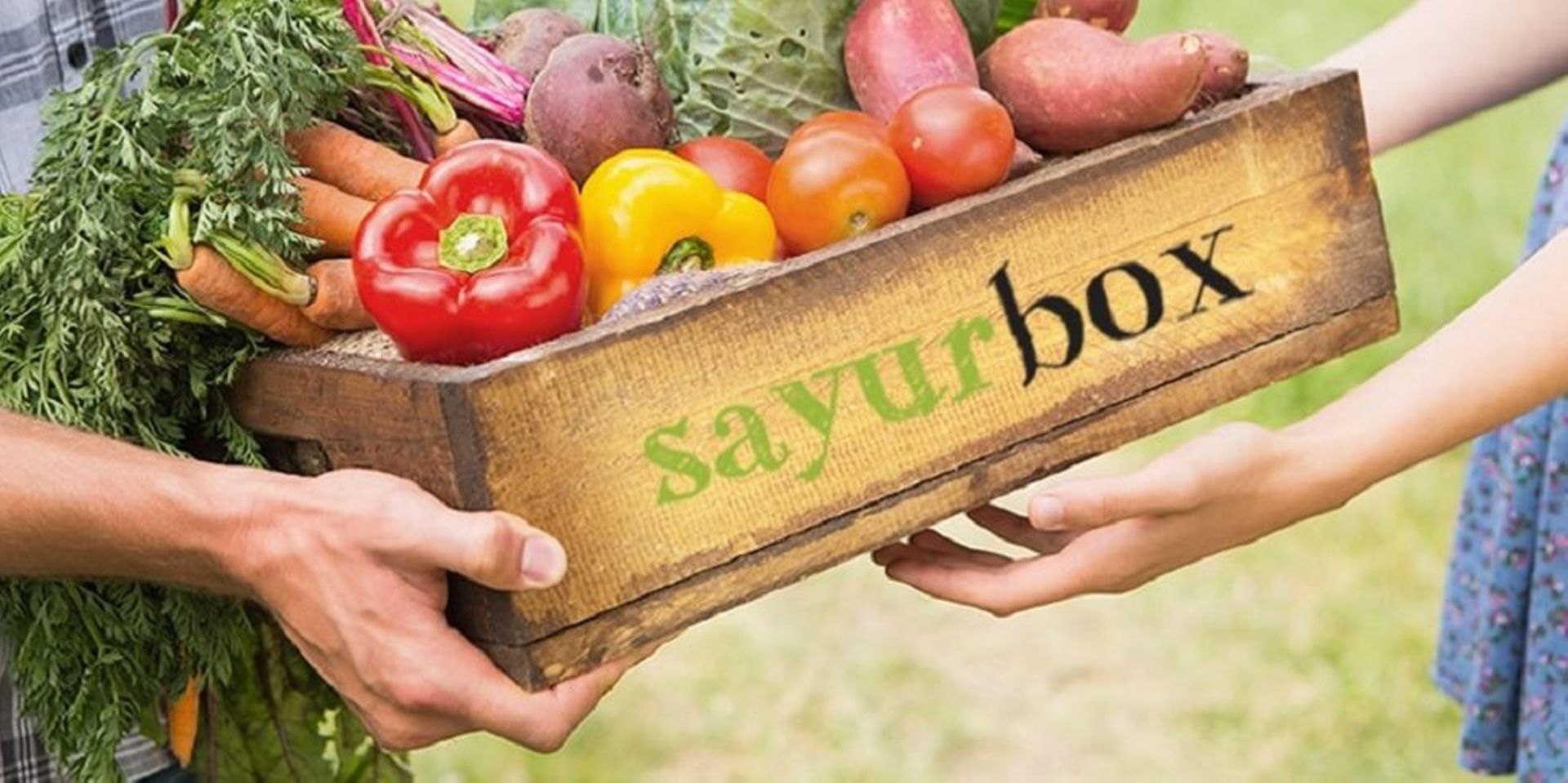 Indonesian agritech startups Sayurbox, Eden Farm in talks to raise capital