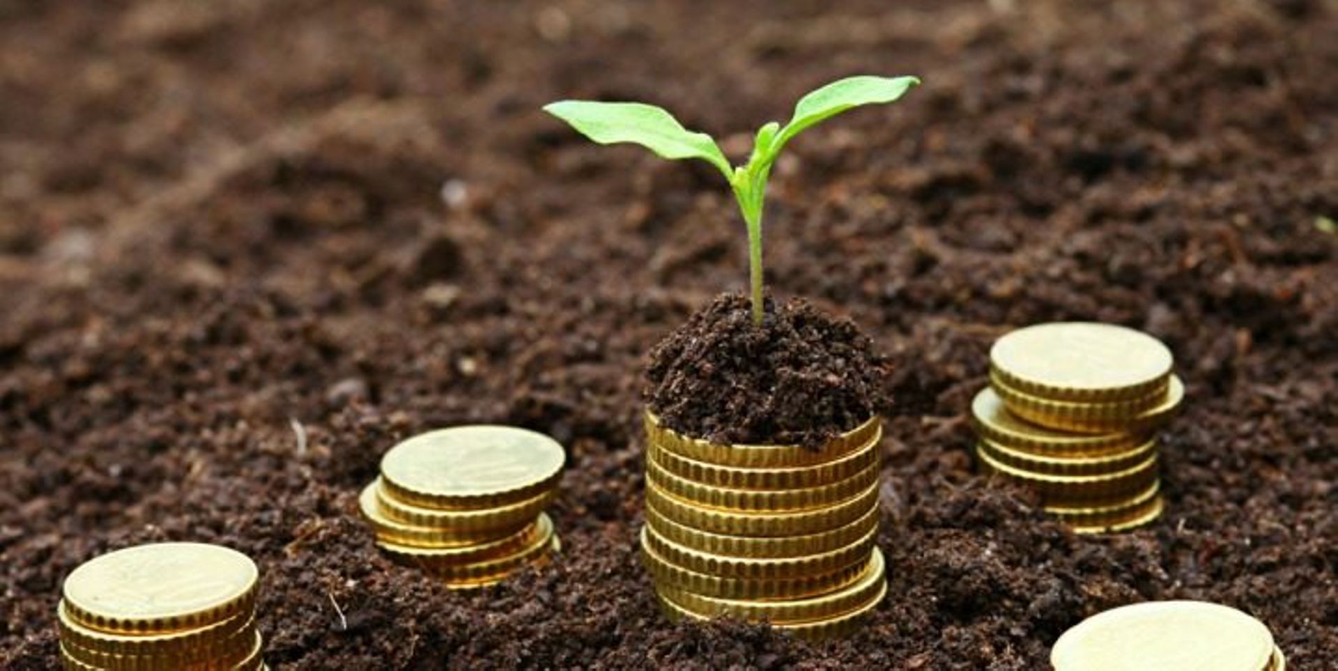 Asia Digest: Pakistan's Brandverse raises seed funding; Antler closes UK Fund at $28m