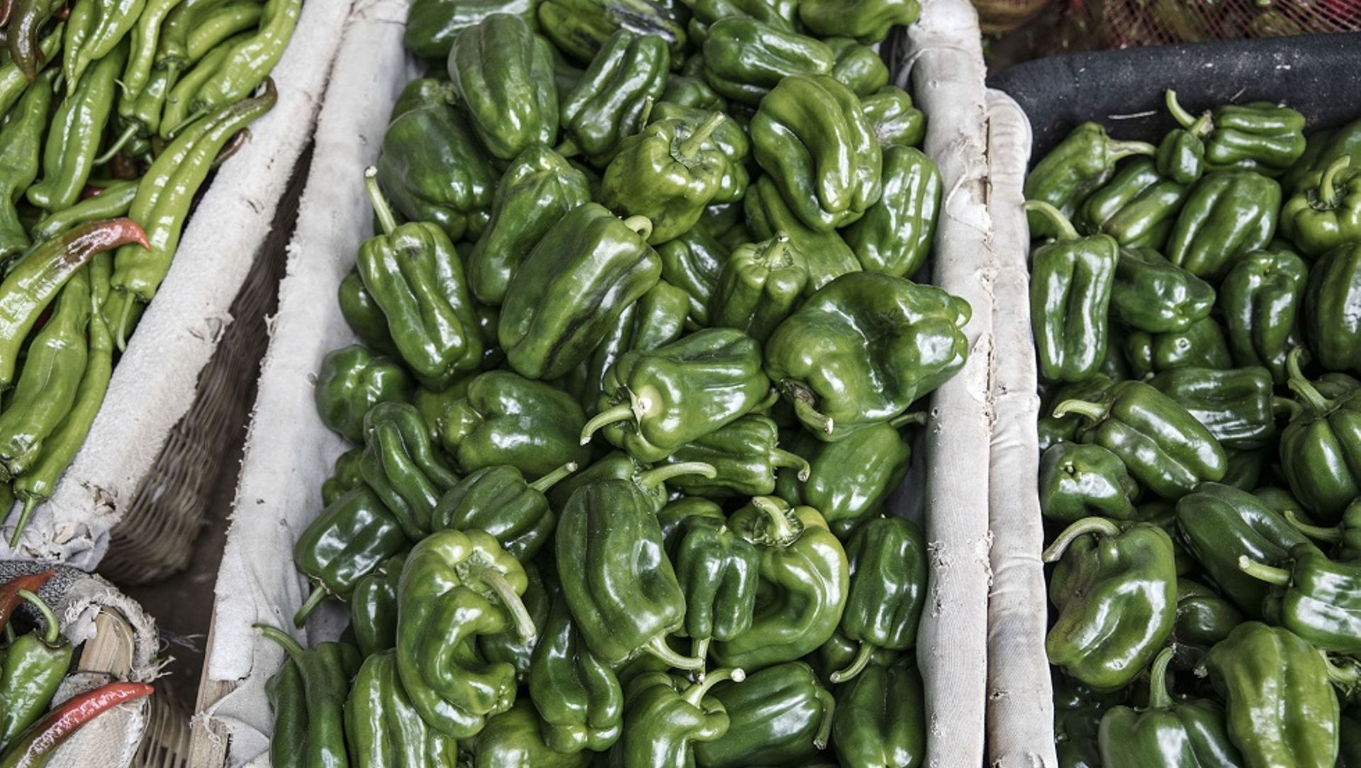 China: GLP leads $36m Series B investment in Songxiaocai