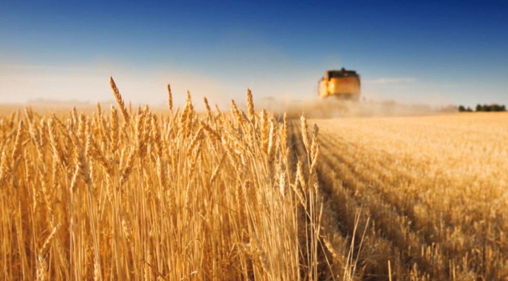 Australia's GrainCorp receives $1.8b takeover offer from Long-Term Asset Partners