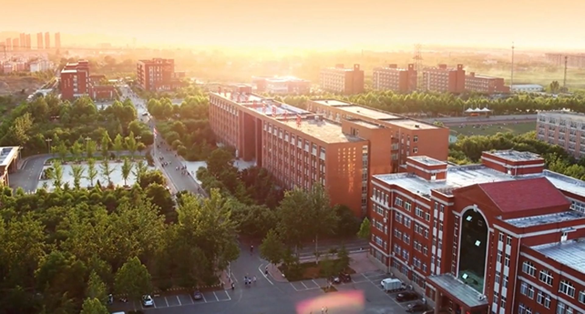 IFC considers extending $38m loan to China's Shandong Yingcai University