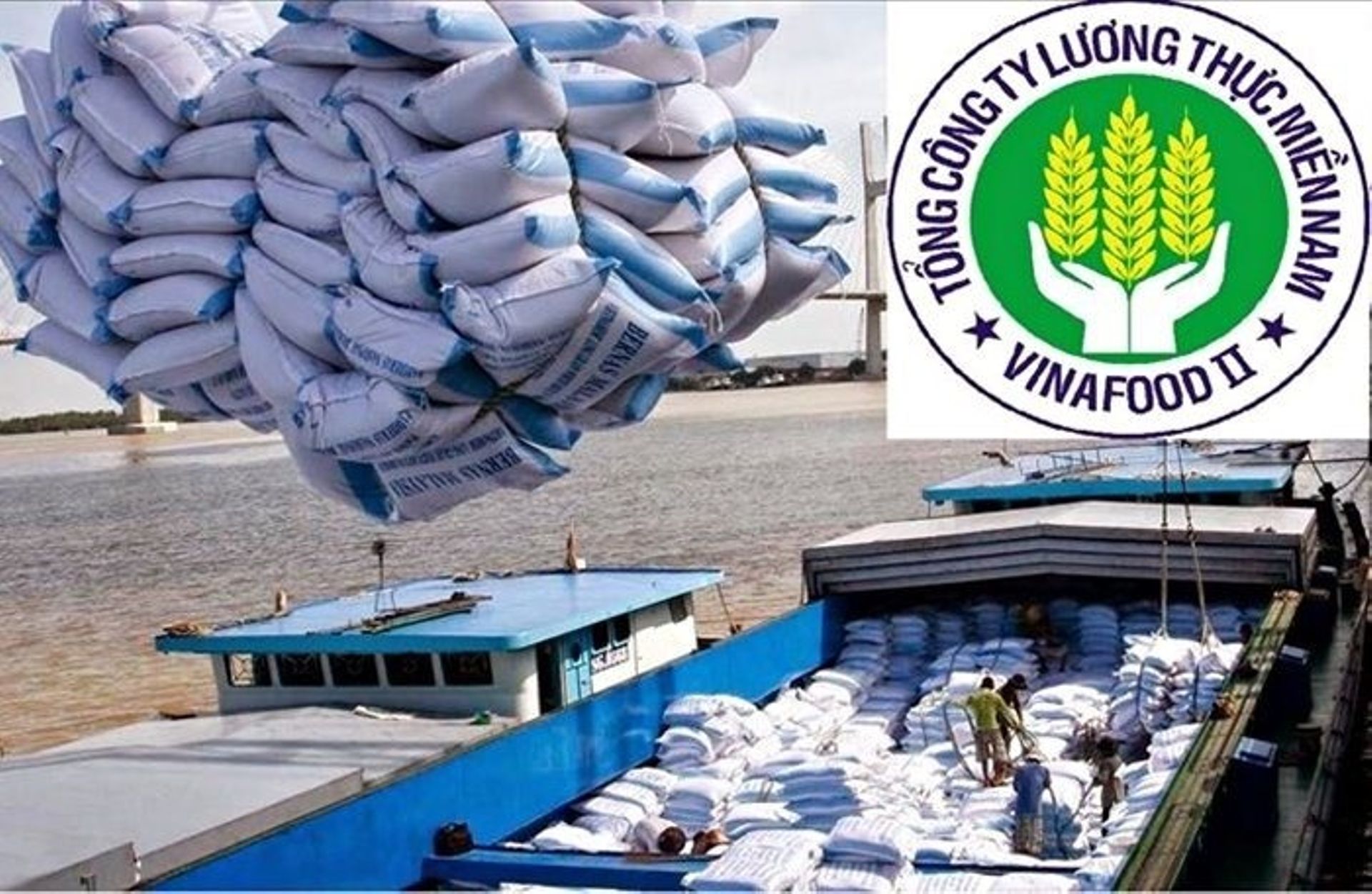 T&T Group seeks to acquire 25% of Vietnam's rice exporter Vinafood 2