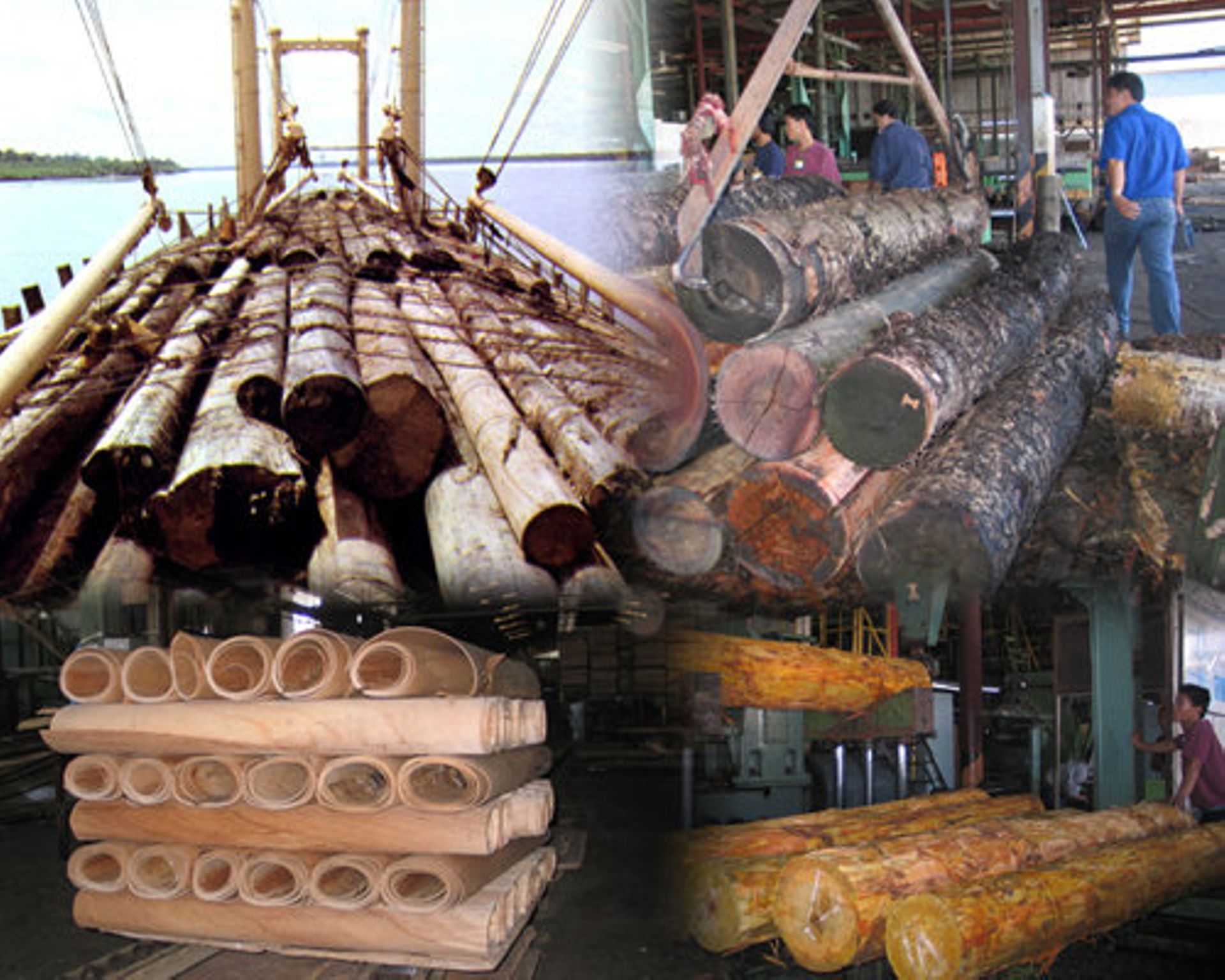 Ballarpur Industries to sell Malaysian arm Sabah Forest for $310m
