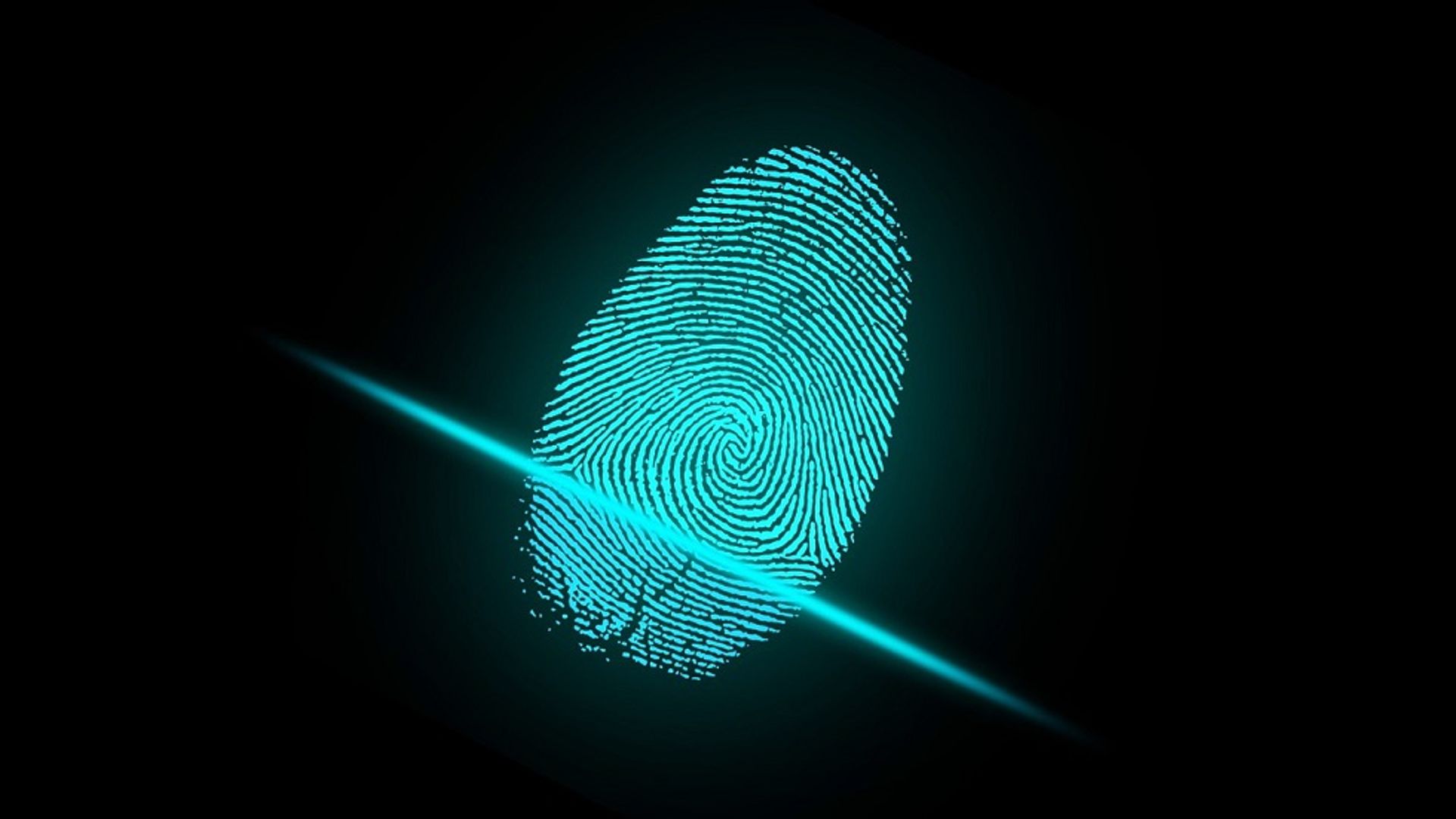 India to roll out biometric authentication for instant digital payments
