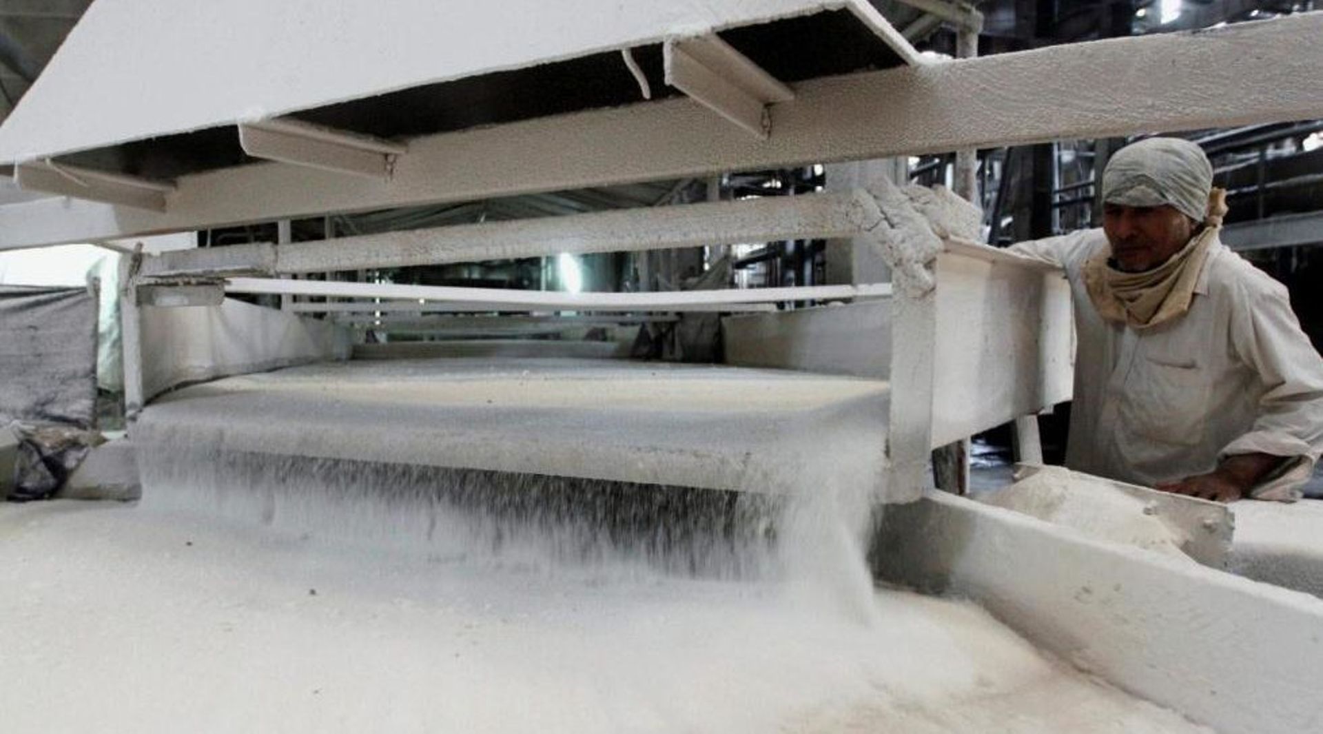 Adani in talks to buy Shree Renuka Sugars from Singapore's Wilmar