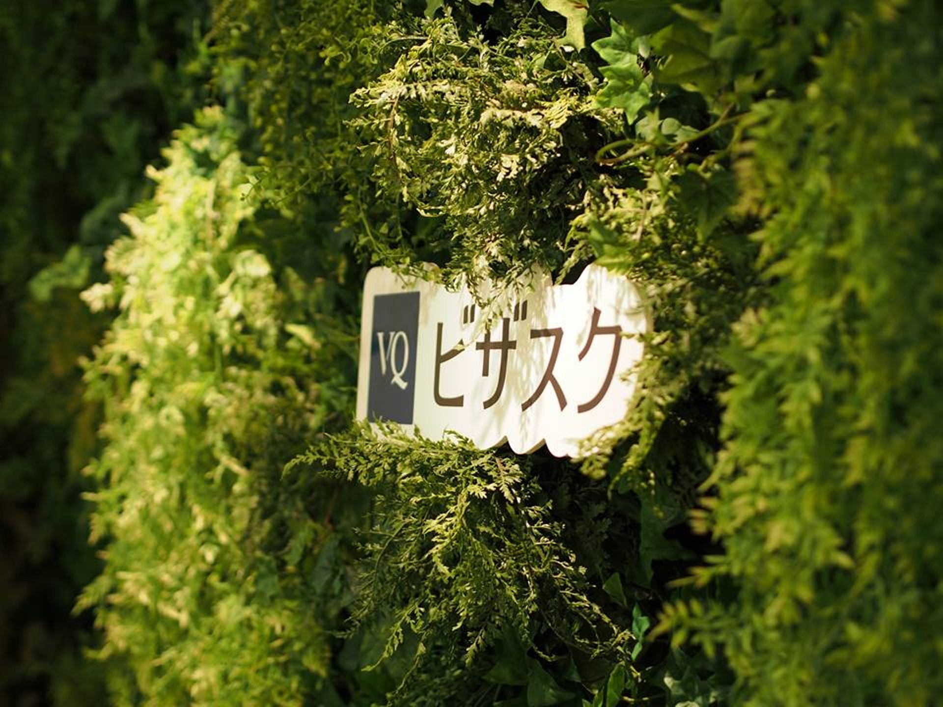 Former Goldman banker aims to spin Japanese startup VisasQ's fortune via IPO