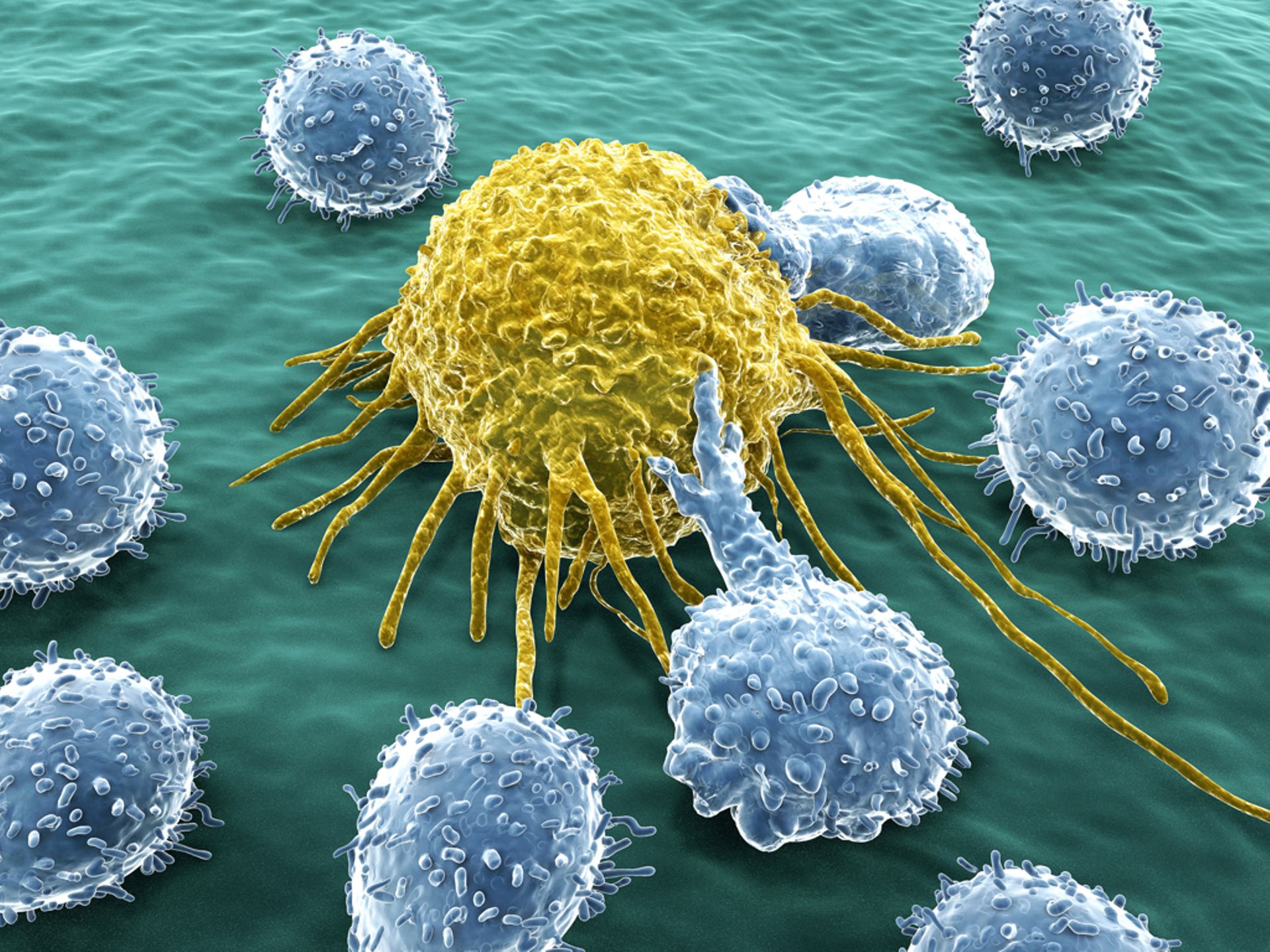 Singapore: Temasek backs $20m Series A in bioengineering firm Medisix