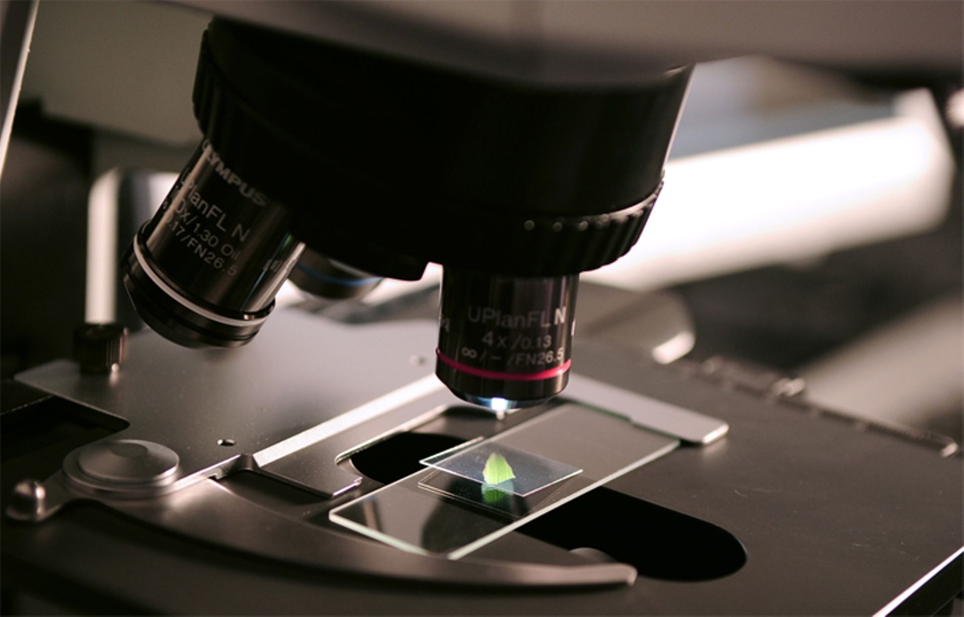 China's Qiming Ventures leads $37m funding in AlphaBio Biopharma