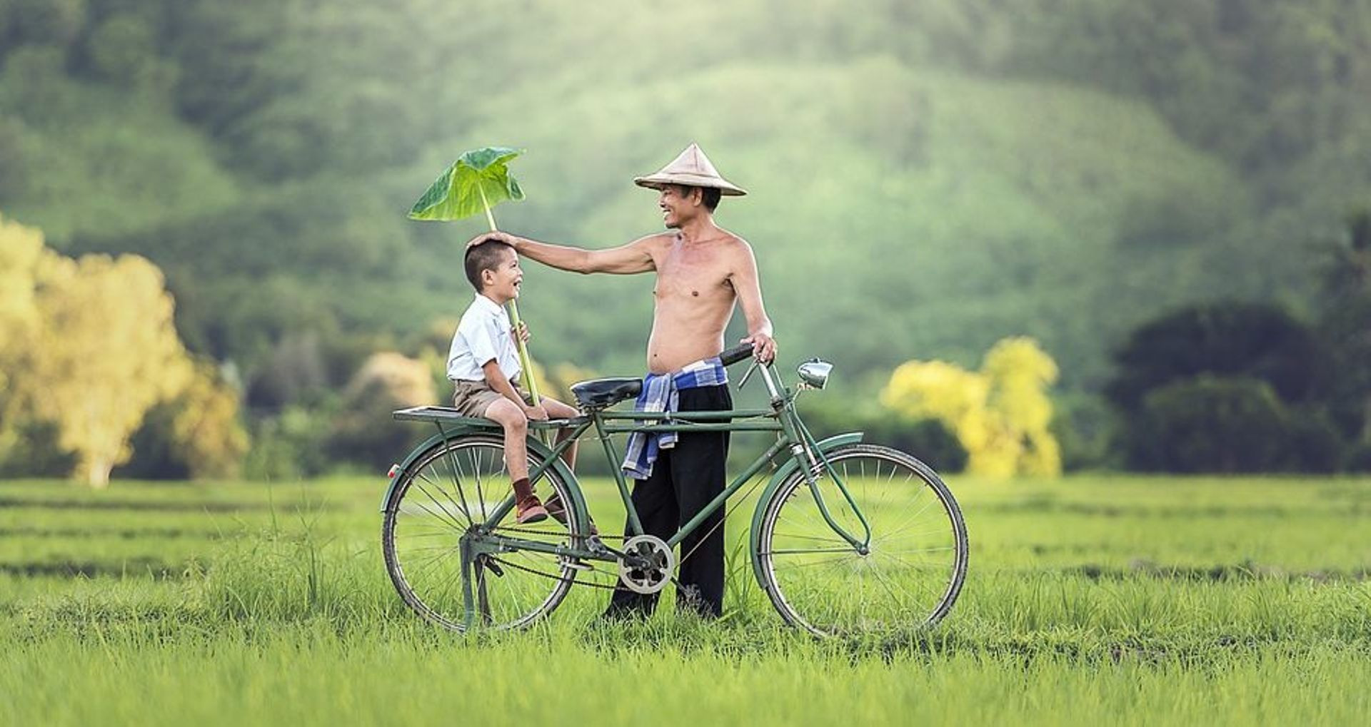 Plenty of room for locally relevant innovation in Asia's agri-food space: Temasek