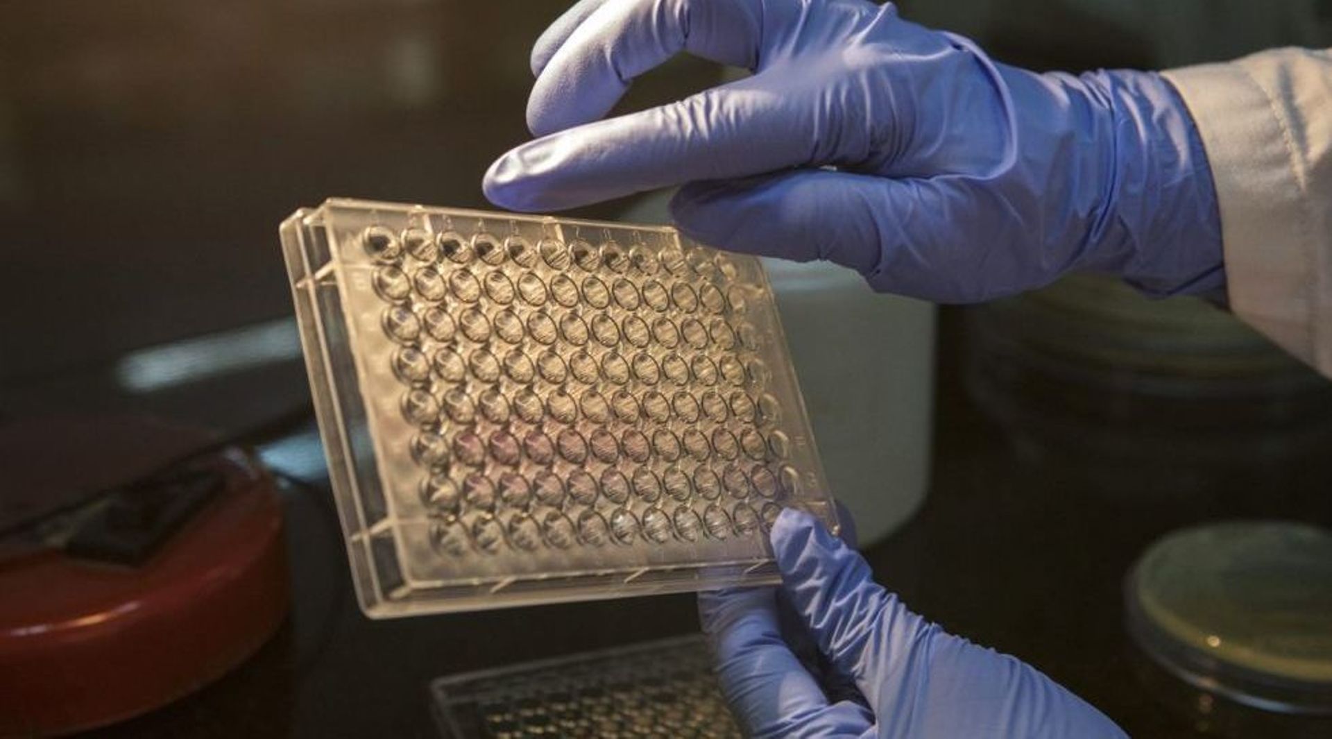 LeapFrog acquires majority stake in India's Ascent Meditech