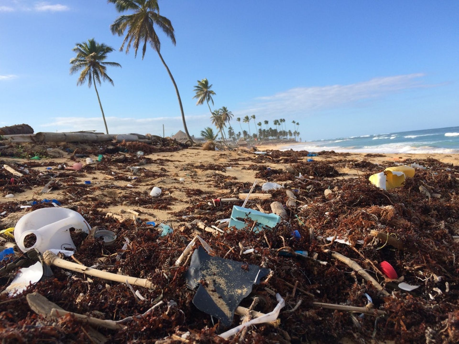 Closed Loop launches fund to back firms trying to keep the ocean plastic free
