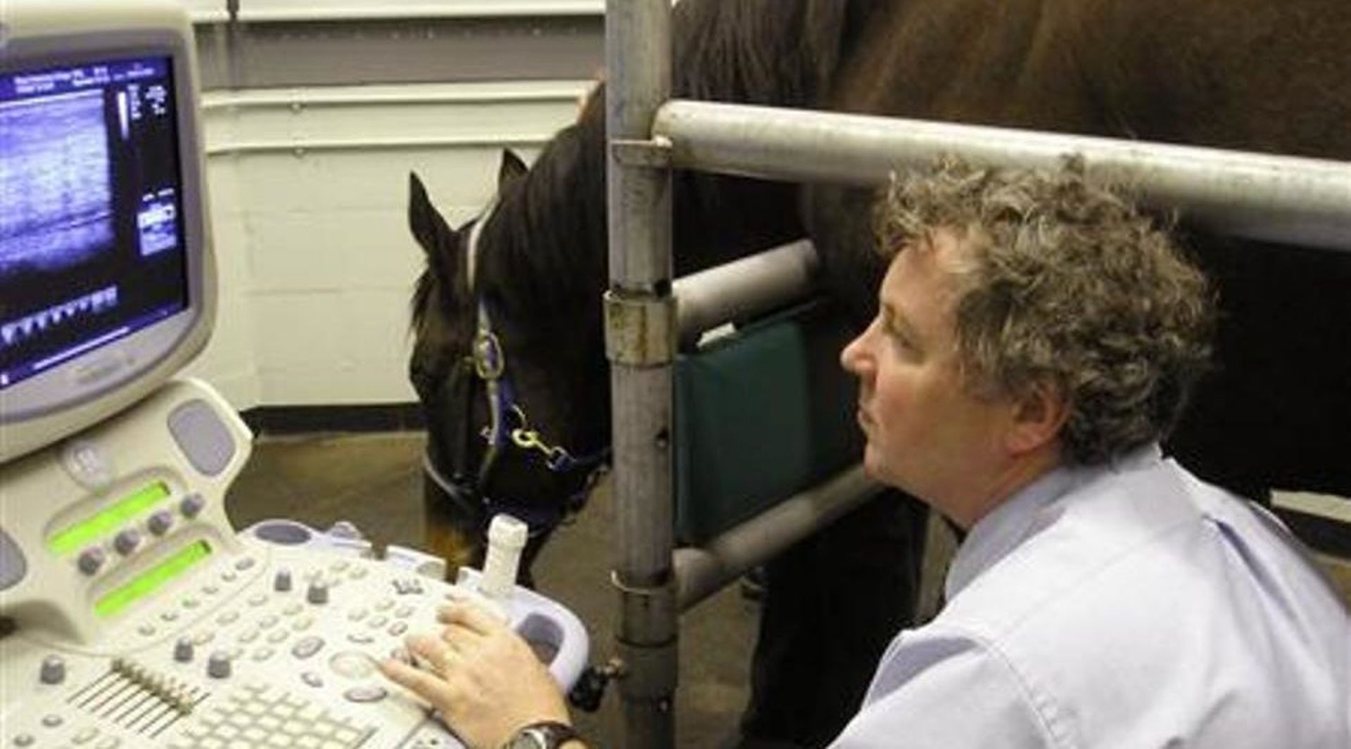 Shanghai United mulls buying French medical device maker Supersonic