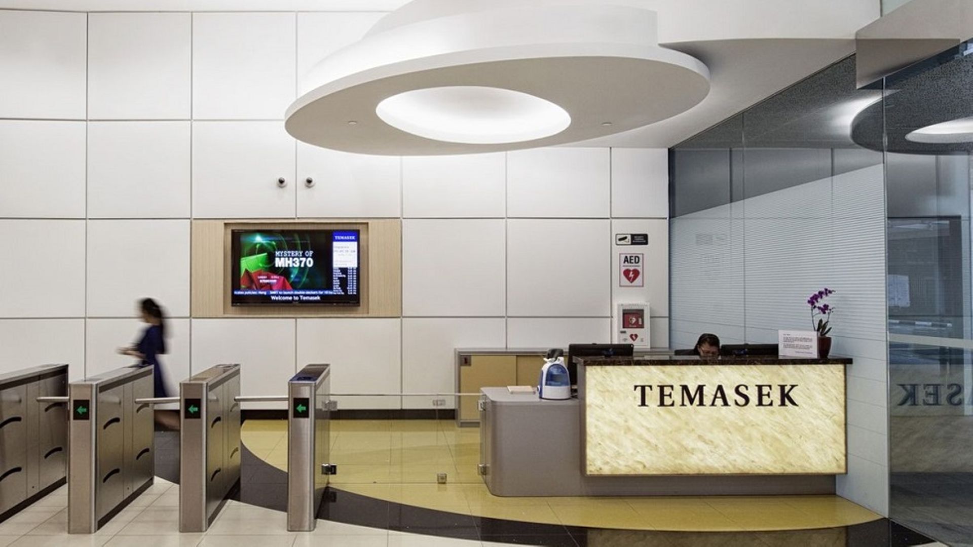 Temasek unit to raise $598m via private equity bonds