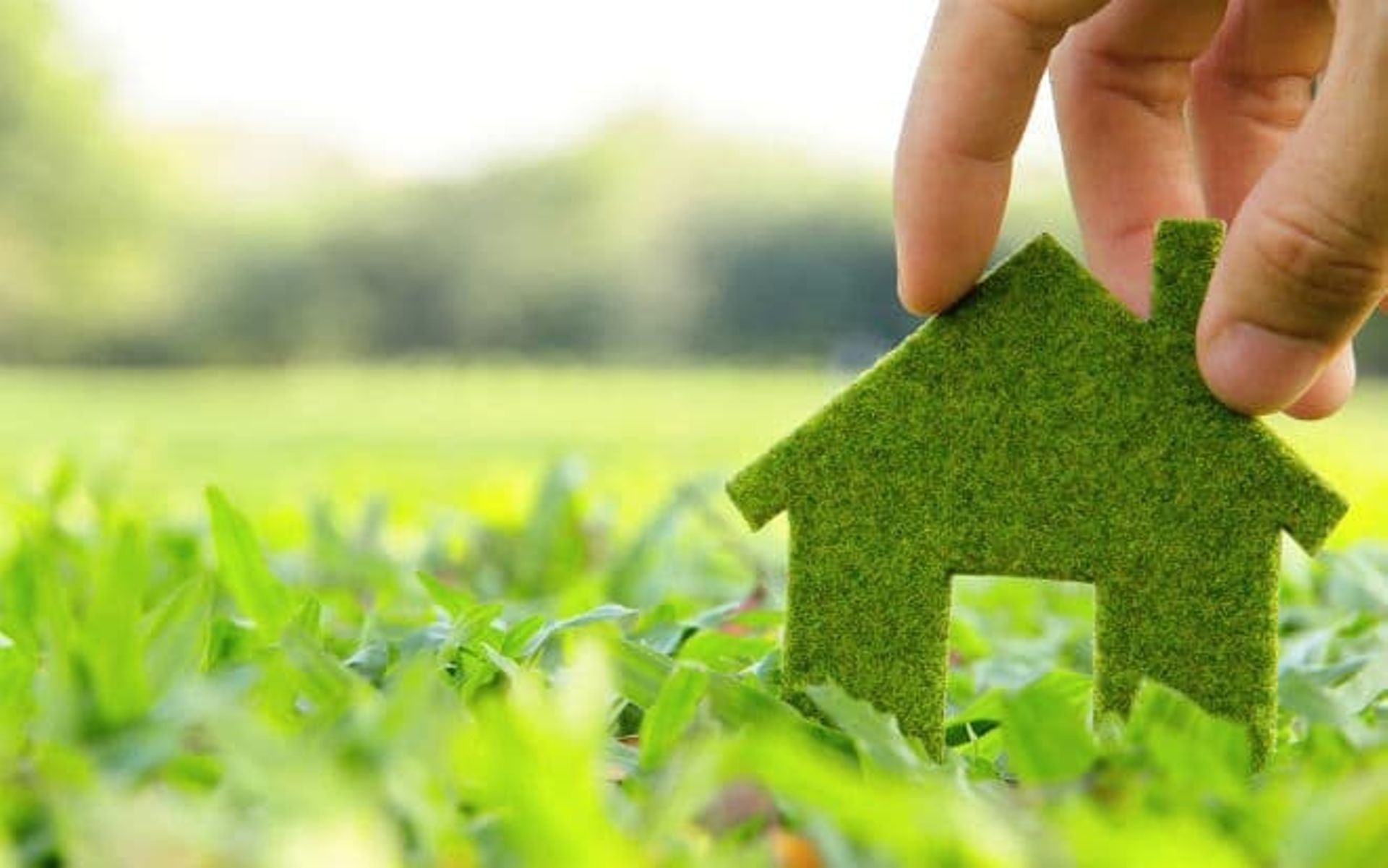 Aera VC bets big on climate investments from its $50m global fund, says founder