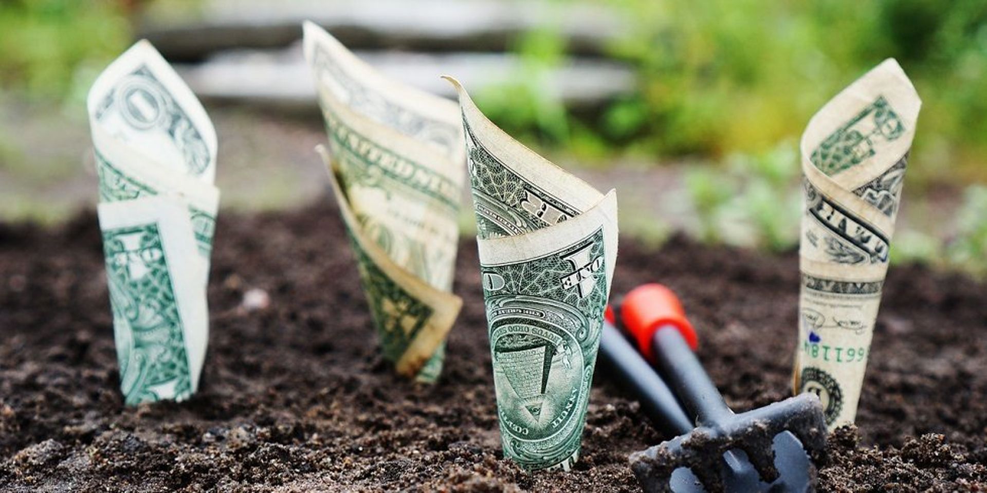 India's Tata Cleantech raises $25.6m from Dutch bank FMO via green bonds