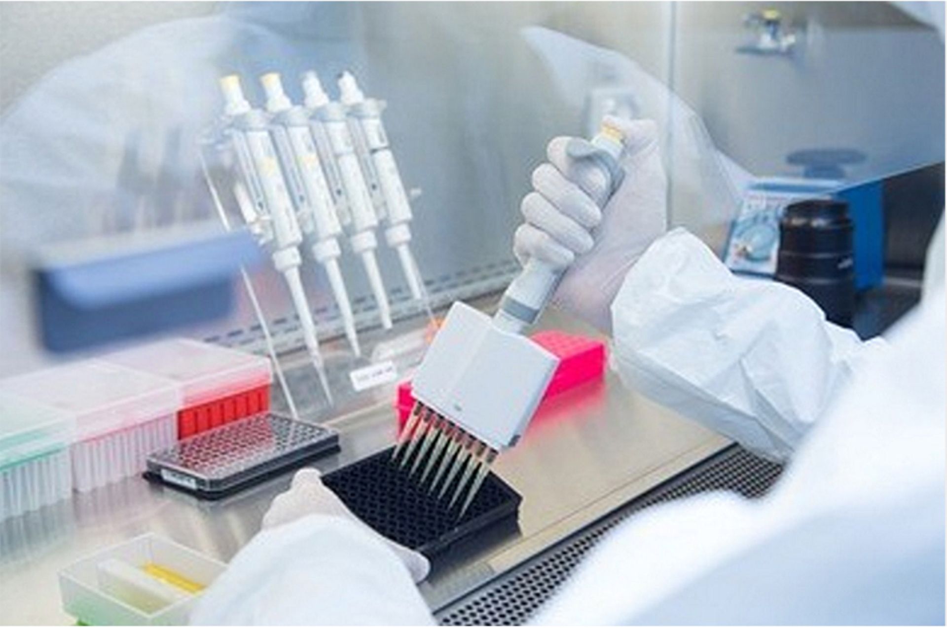 PAG backs $100m Series A round for China's Alphamab Oncology