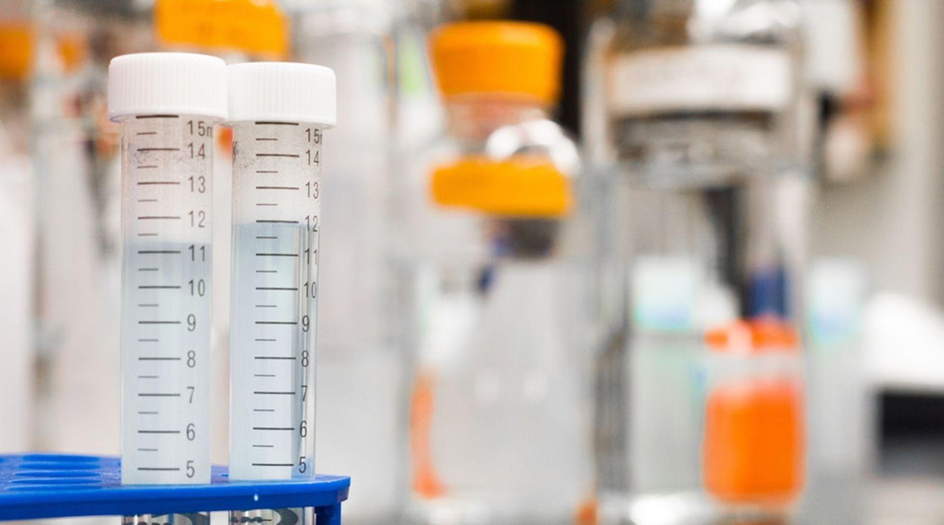 Advent International acquires controlling stake in Bharat Serums