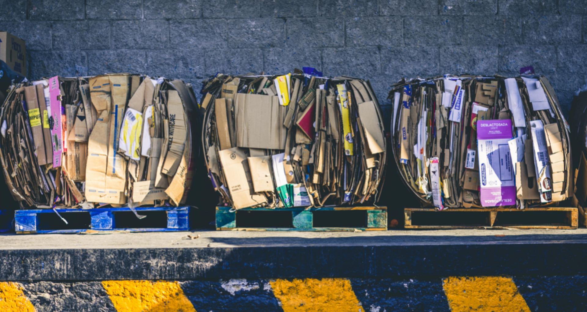 Singapore's Circulate Capital is dedicating half of its $106m “ocean fund" to India