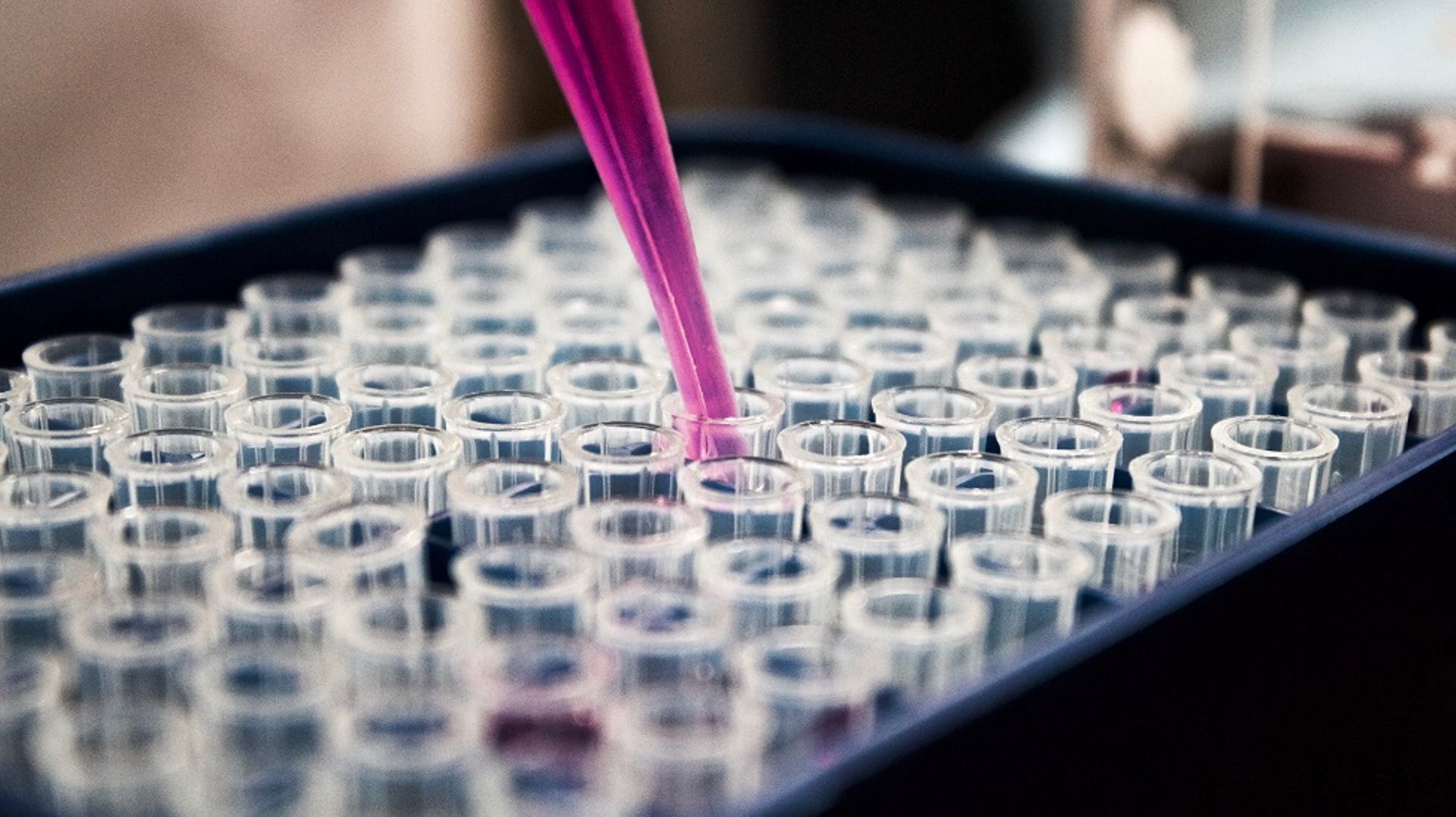 Sequoia Capital China backs $16m round for biotech company Cullgen