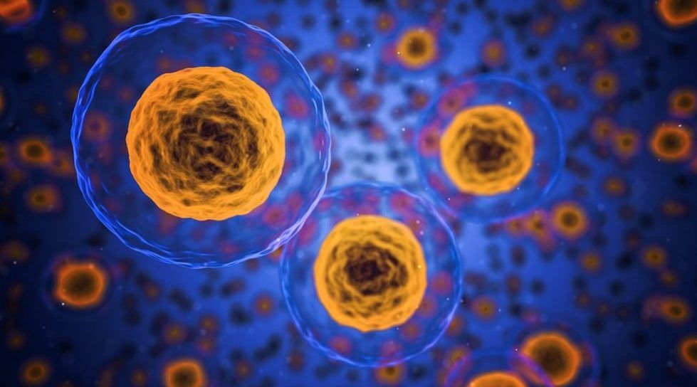 China's healthcare-focused LYFE Capital leads $92m funding in biotech firm ABclonal - Vimarsana News